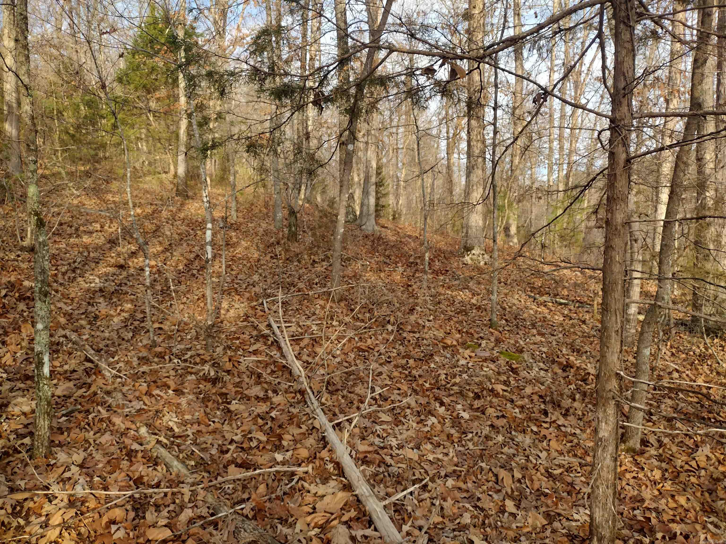 0 Geier Rd Property Photo 15