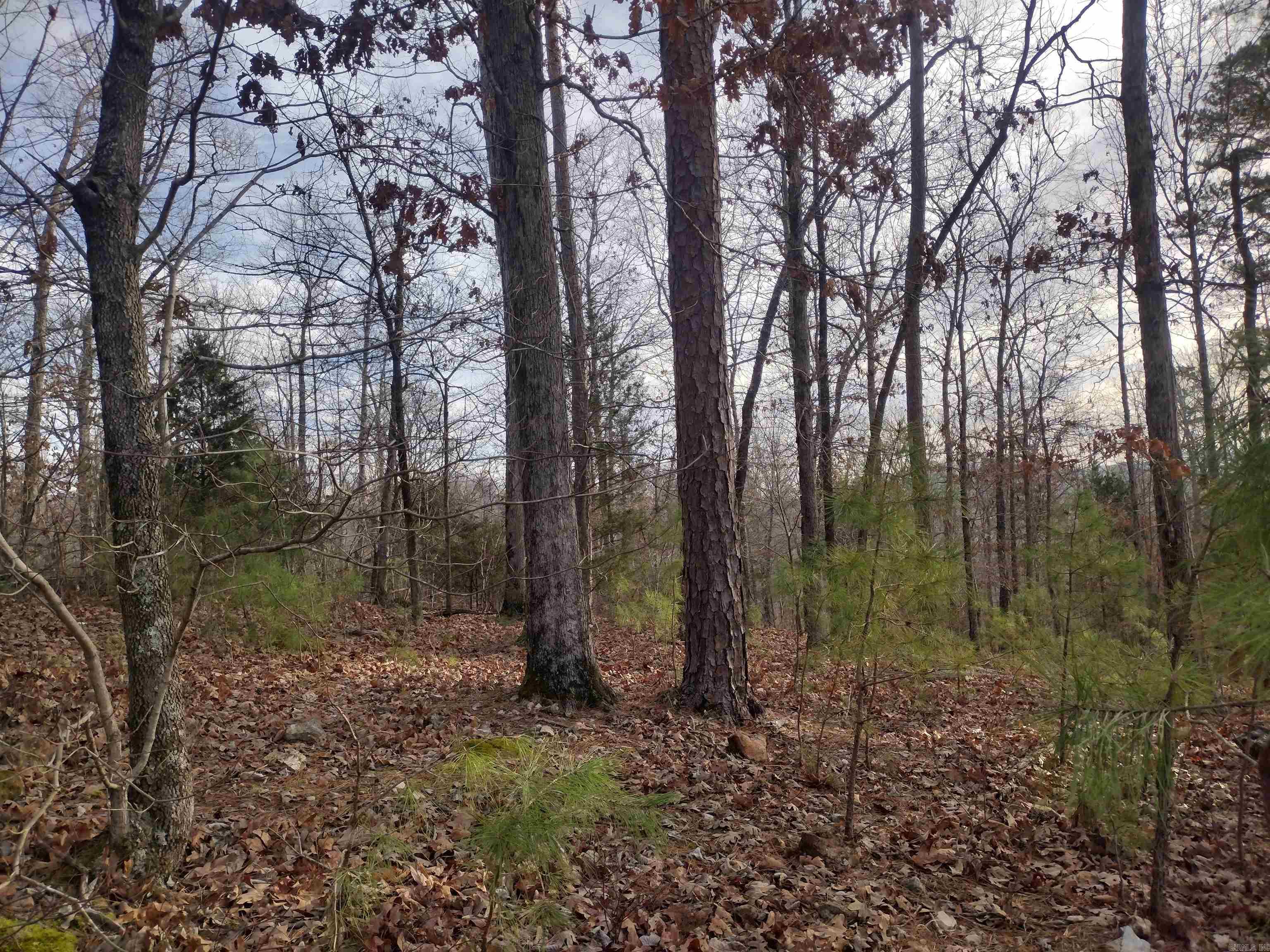 0 Geier Rd Property Photo 16
