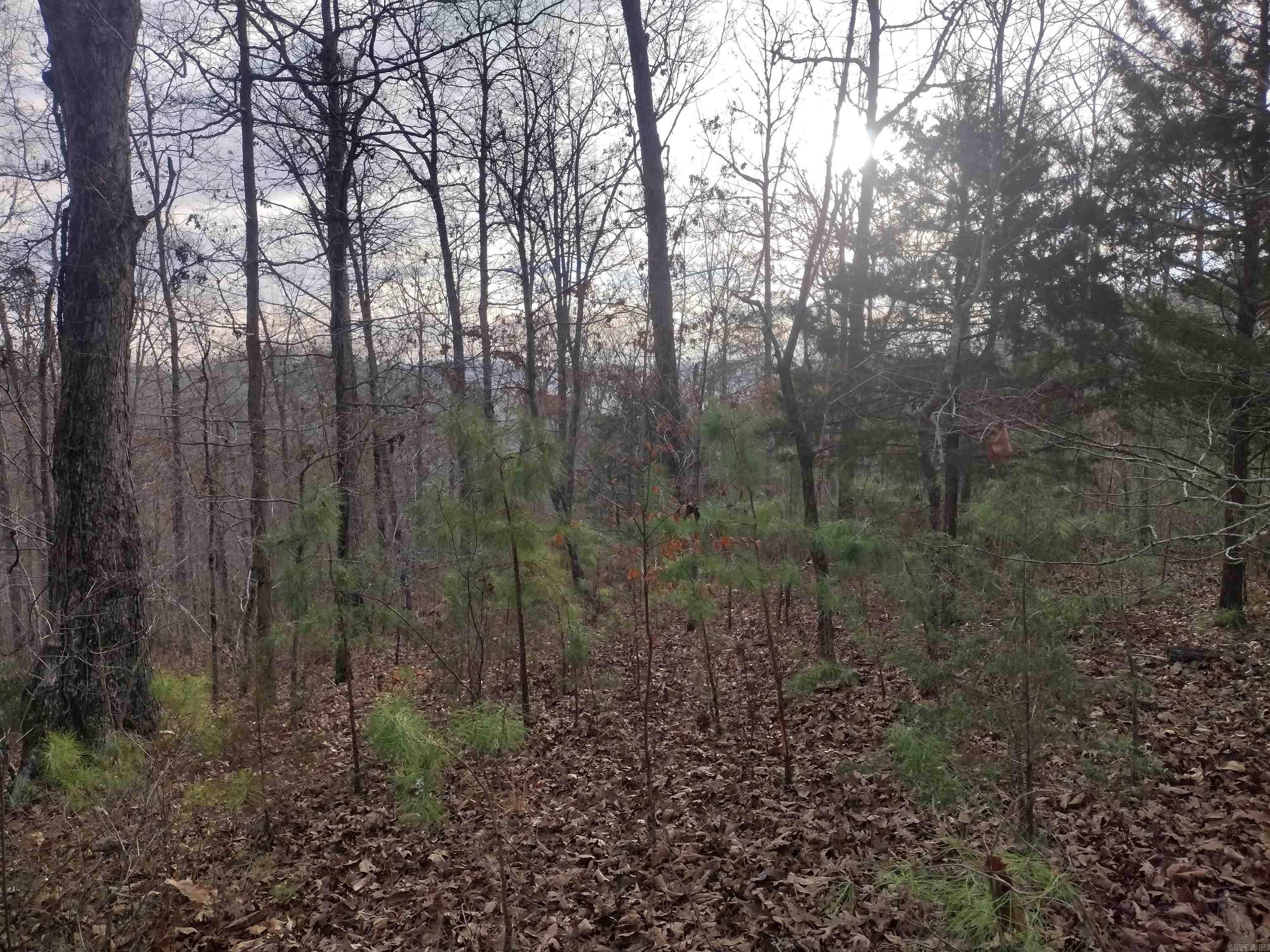 0 Geier Rd Property Photo 17