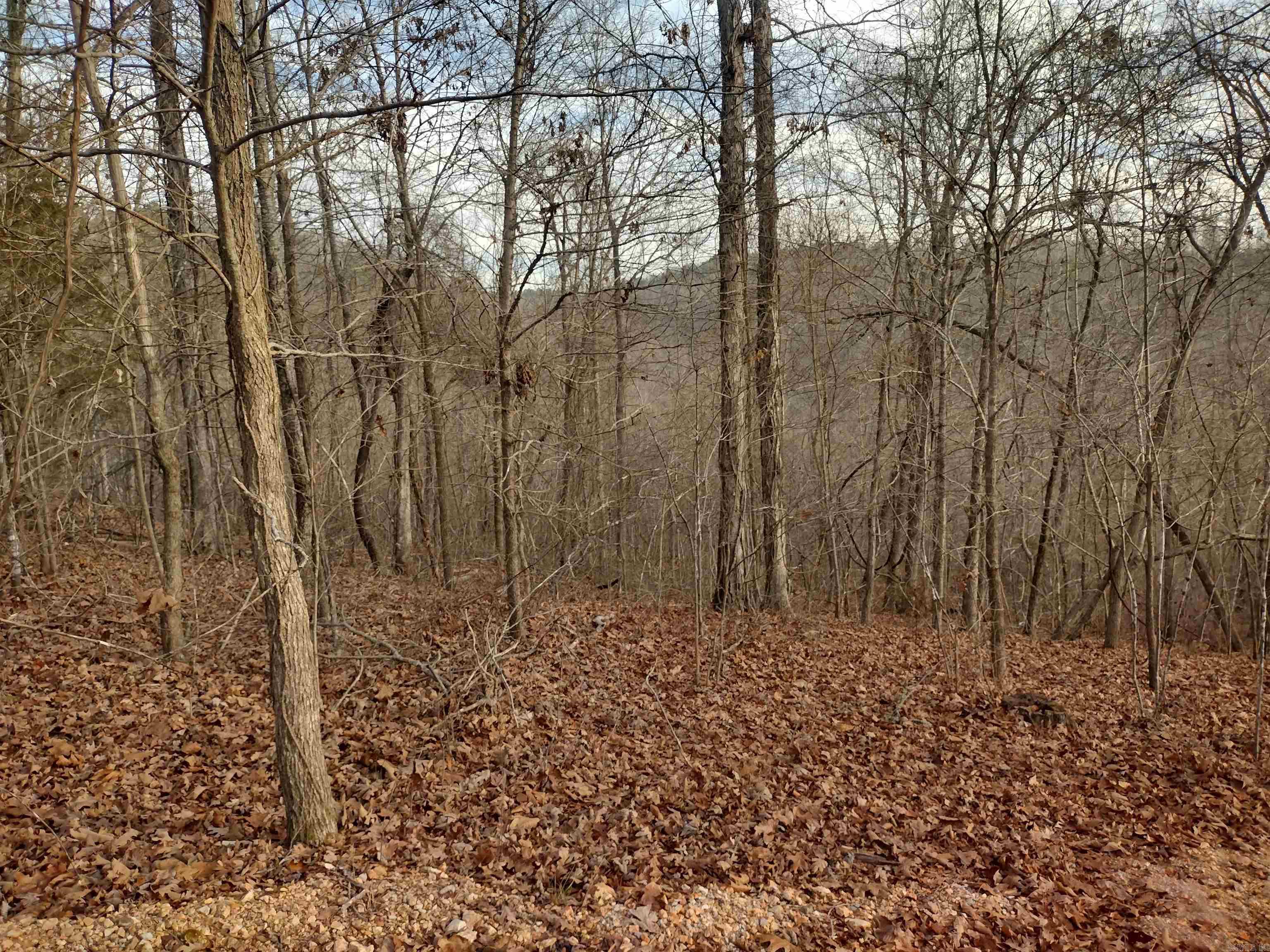 0 Geier Rd Property Photo 18