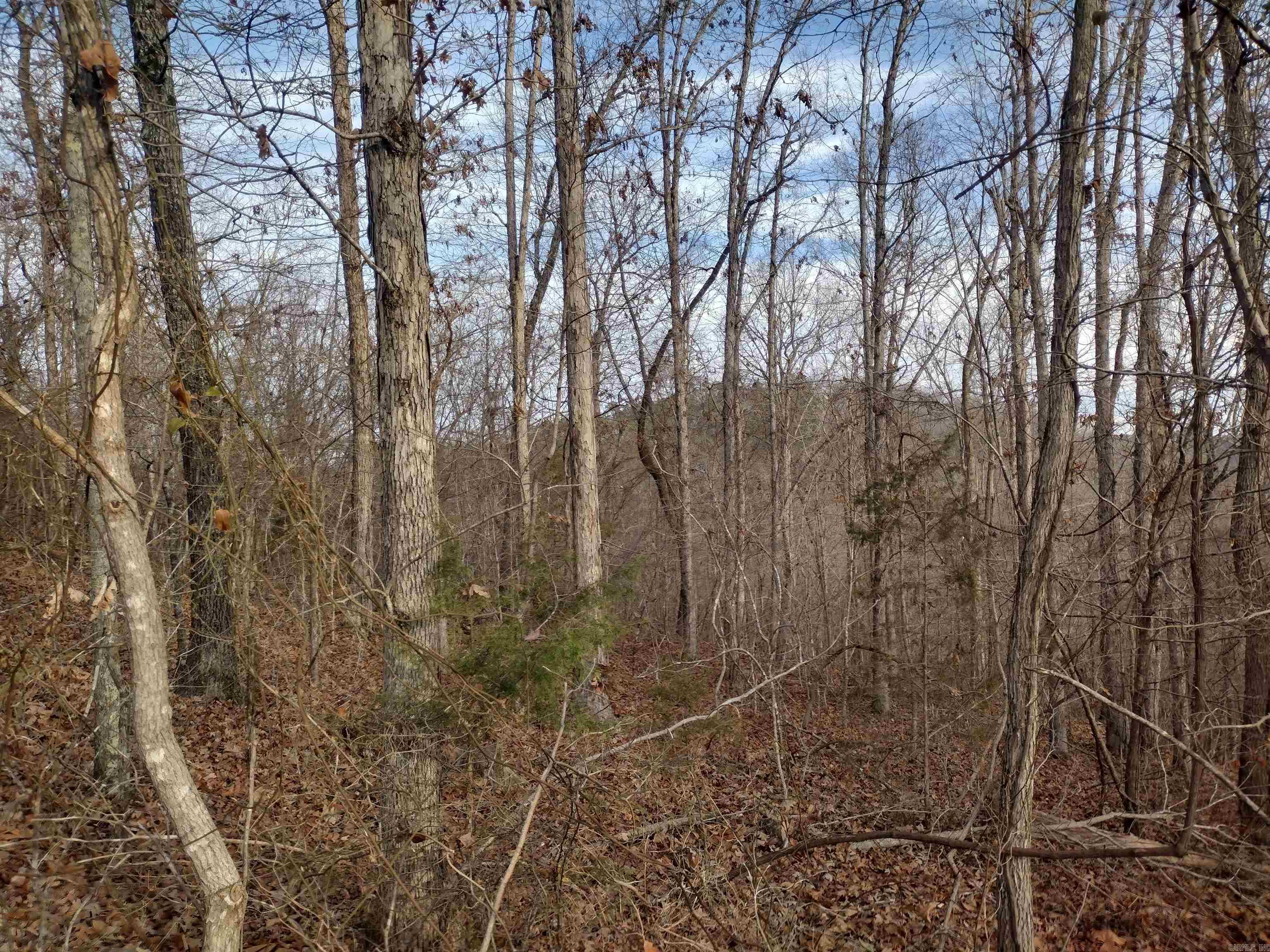 0 Geier Rd Property Photo 20