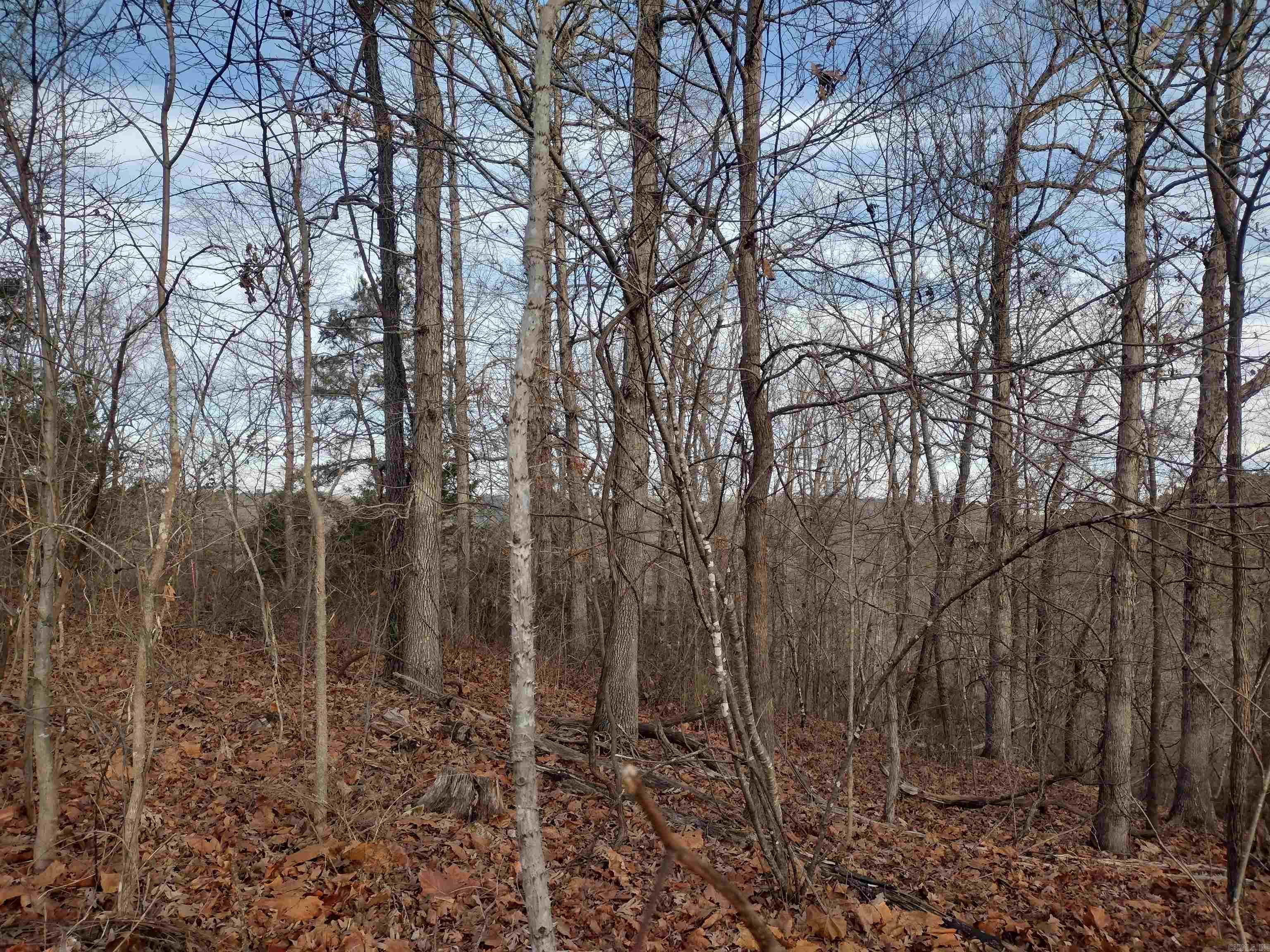 0 Geier Rd Property Photo 21