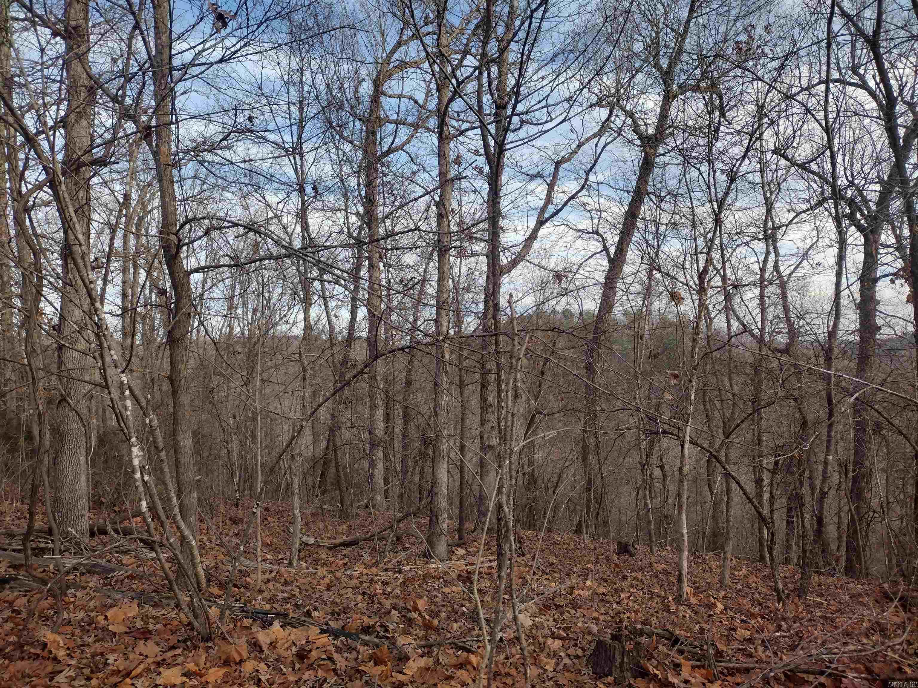 0 Geier Rd Property Photo 22