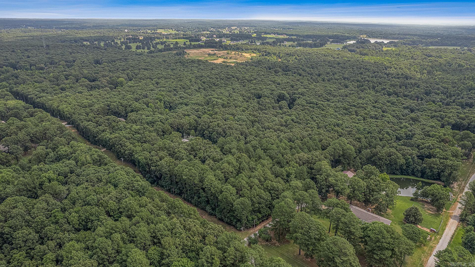 9.5 Acres County Road 753 Property Photo 2