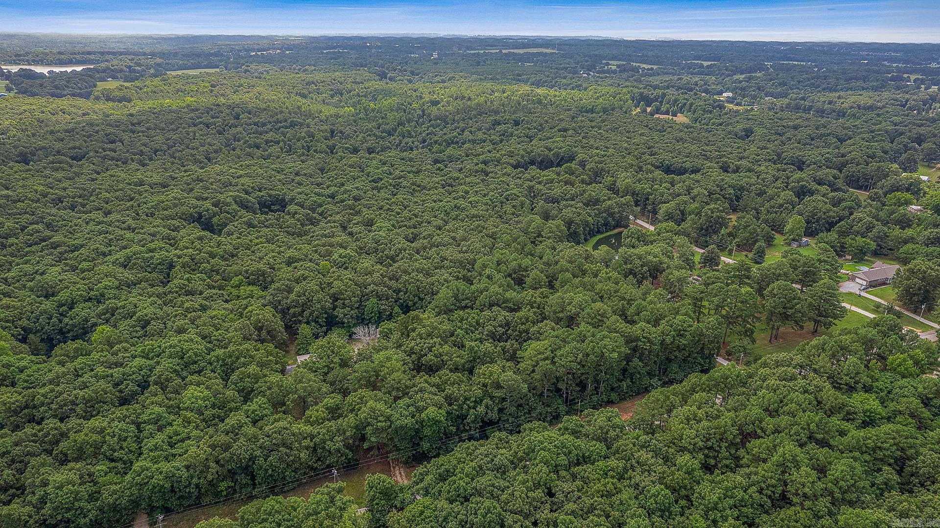 9.5 Acres County Road 753 Property Photo 3