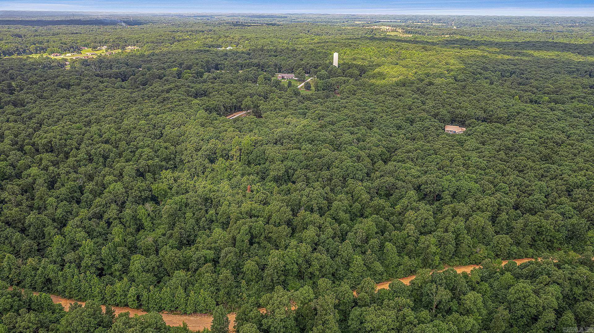 9.5 Acres County Road 753 Property Photo 4