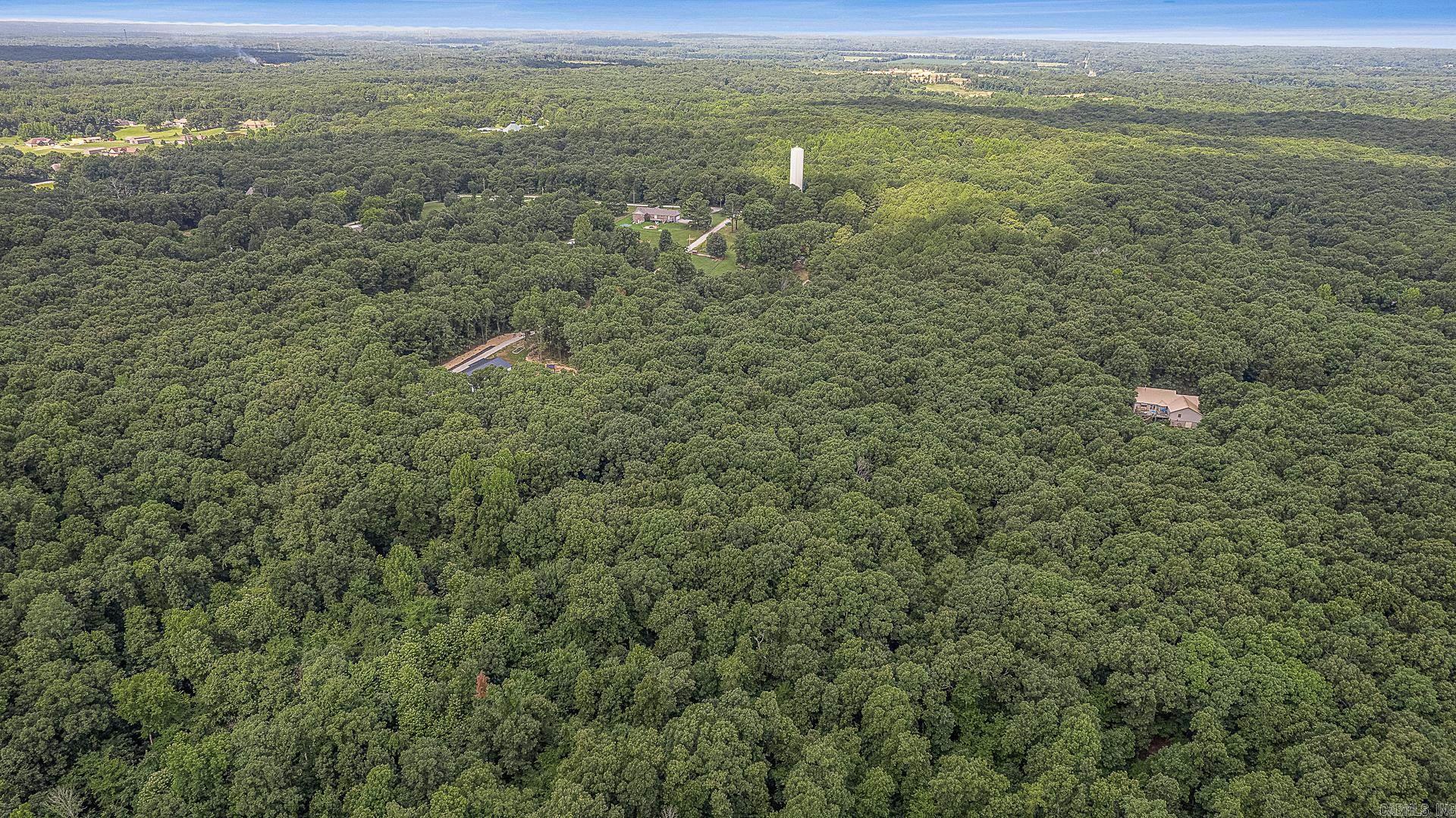 9.5 Acres County Road 753 Property Photo 5