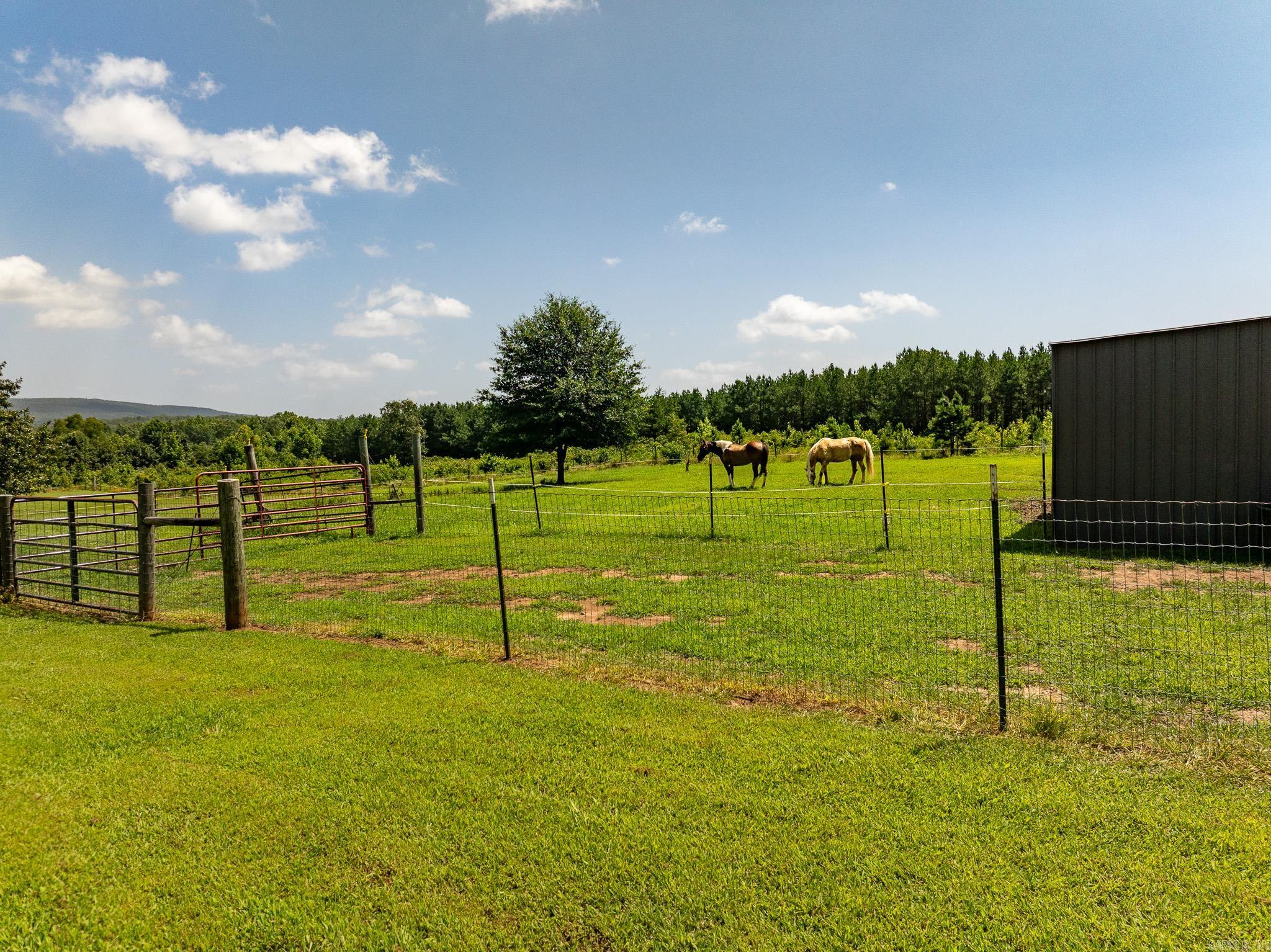 336 Quarry Road Property Photo 21