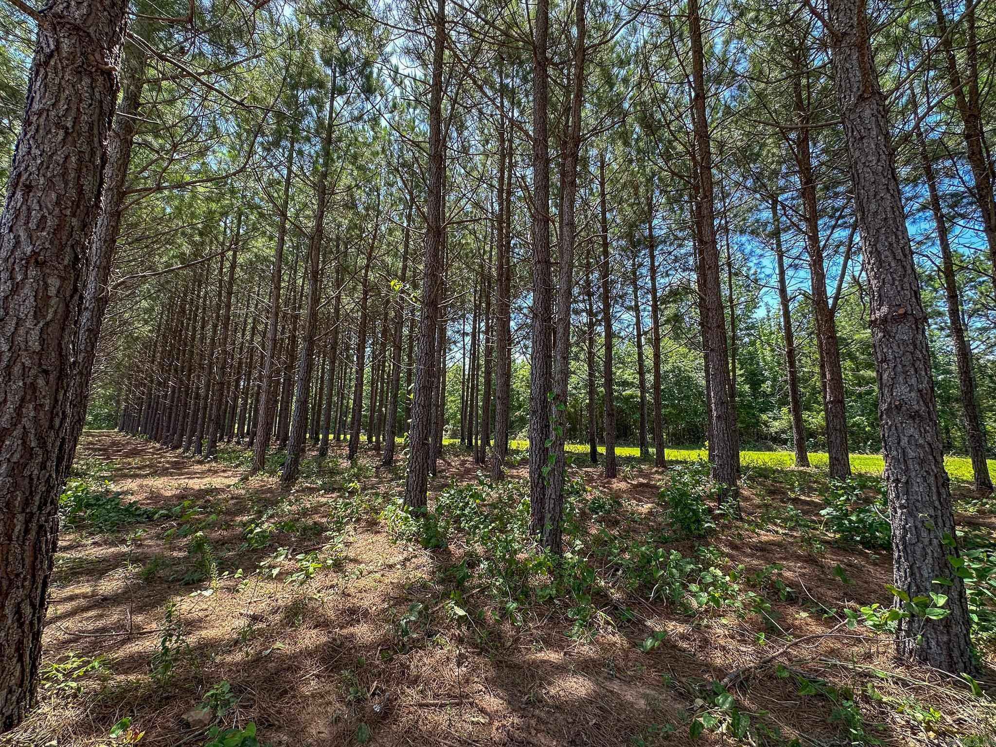 336 Quarry Road Property Photo 49
