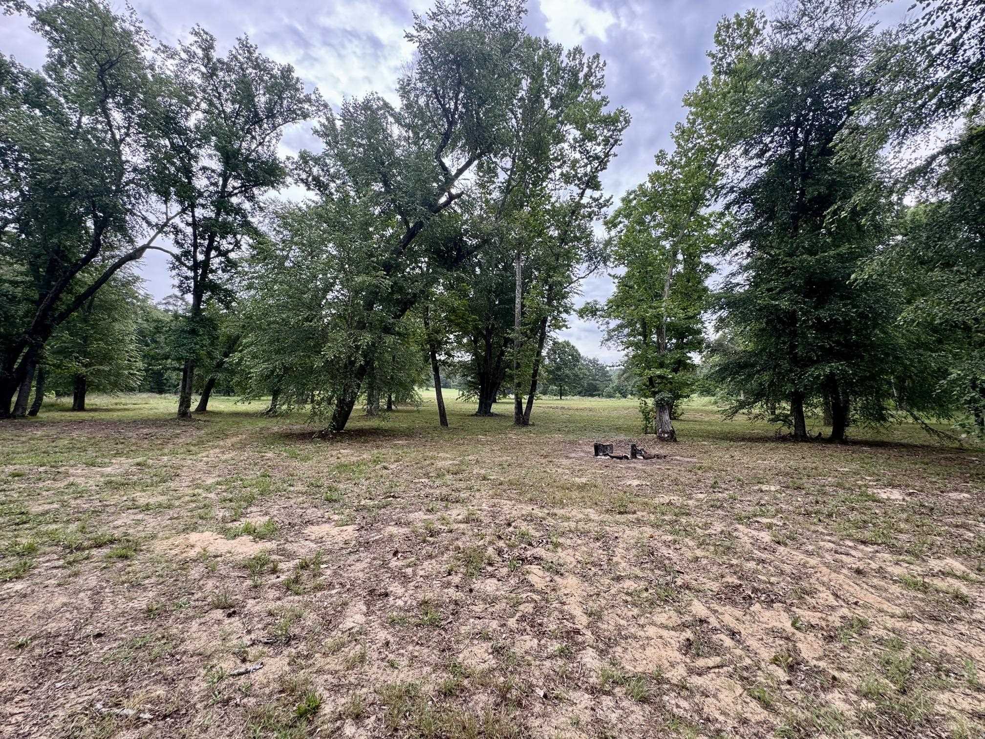 660 Apple Tree Lane Property Photo 4