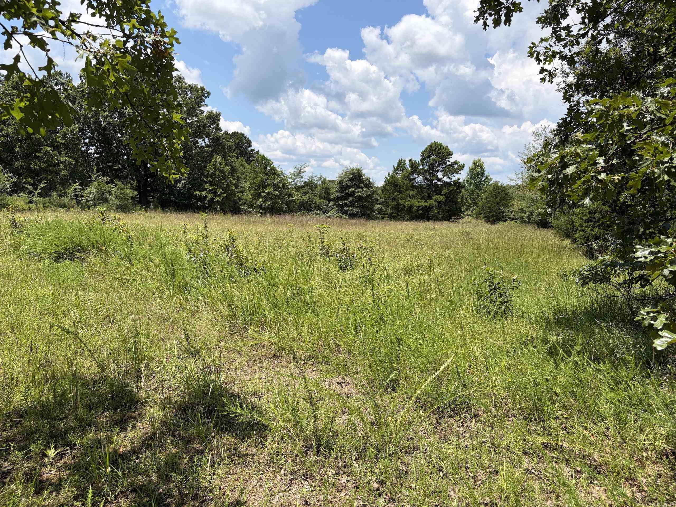 000 Merryman Road Property Photo 15