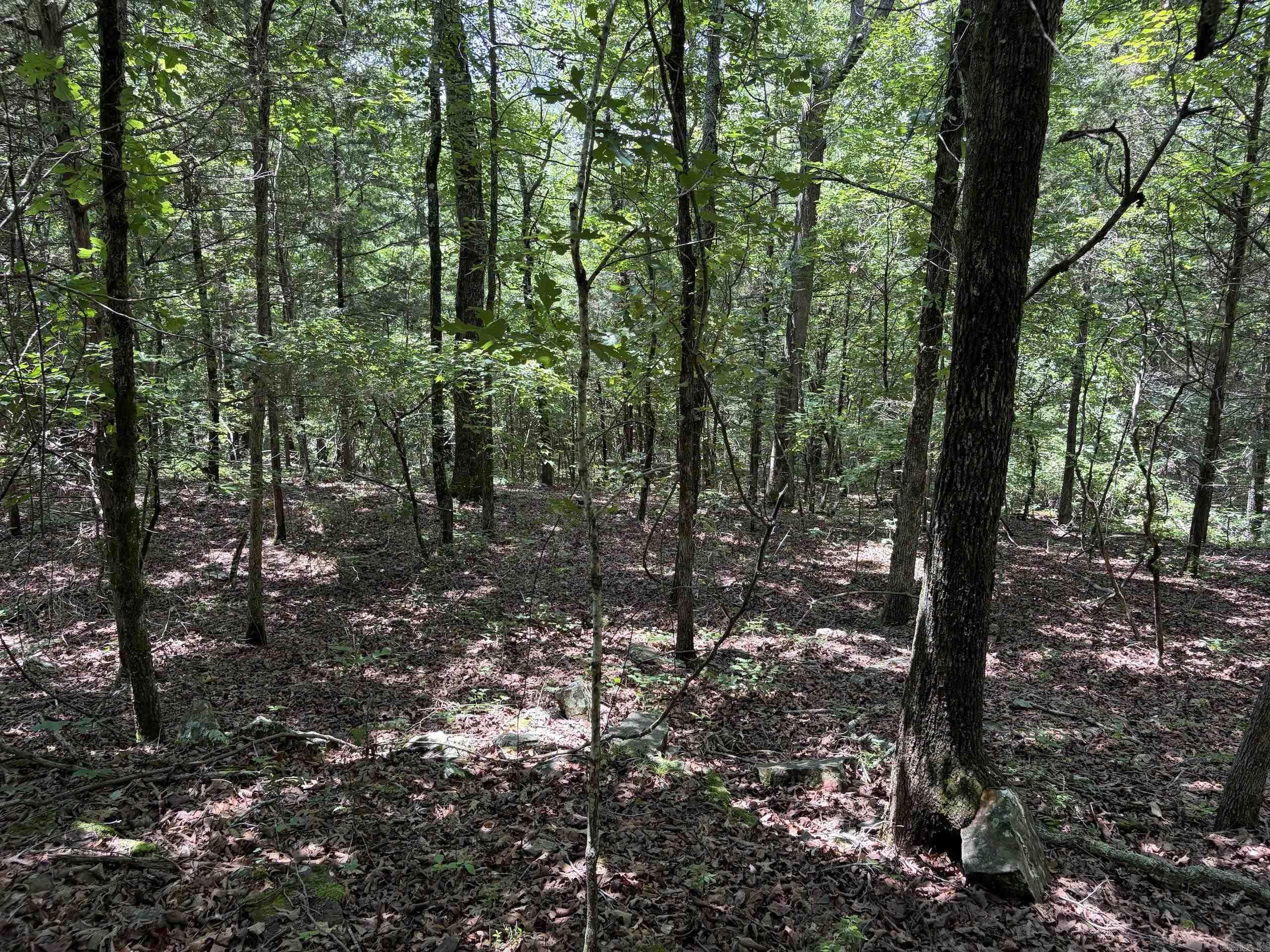 000 Merryman Road Property Photo 31