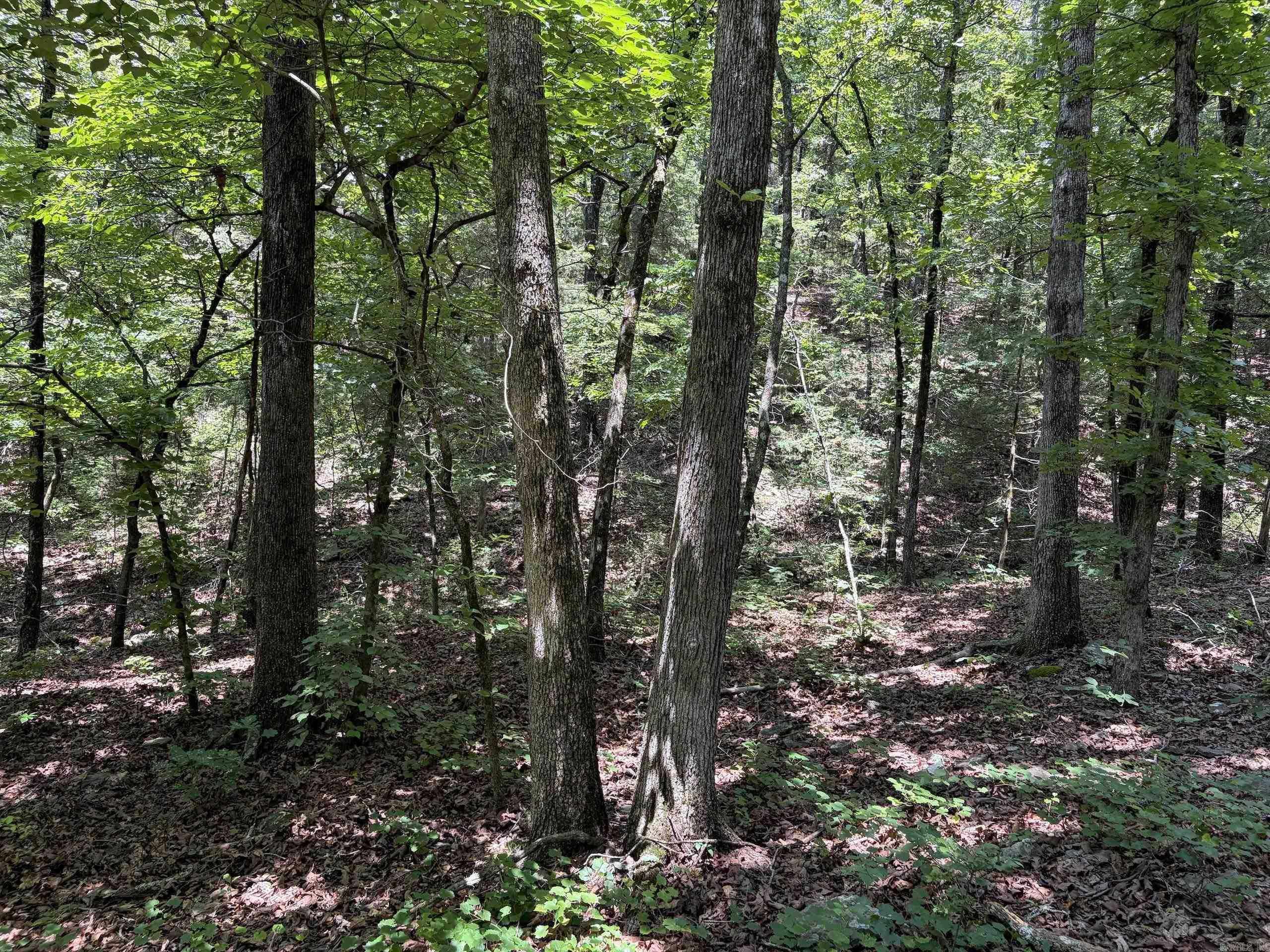 000 Merryman Road Property Photo 32