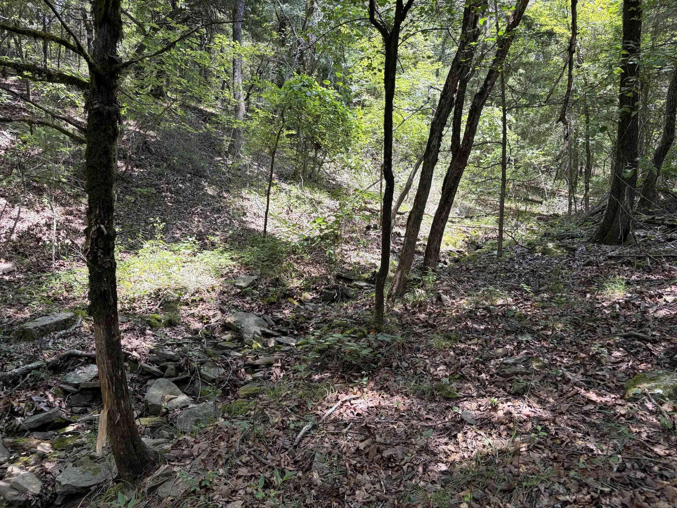 000 Merryman Road Property Photo 35