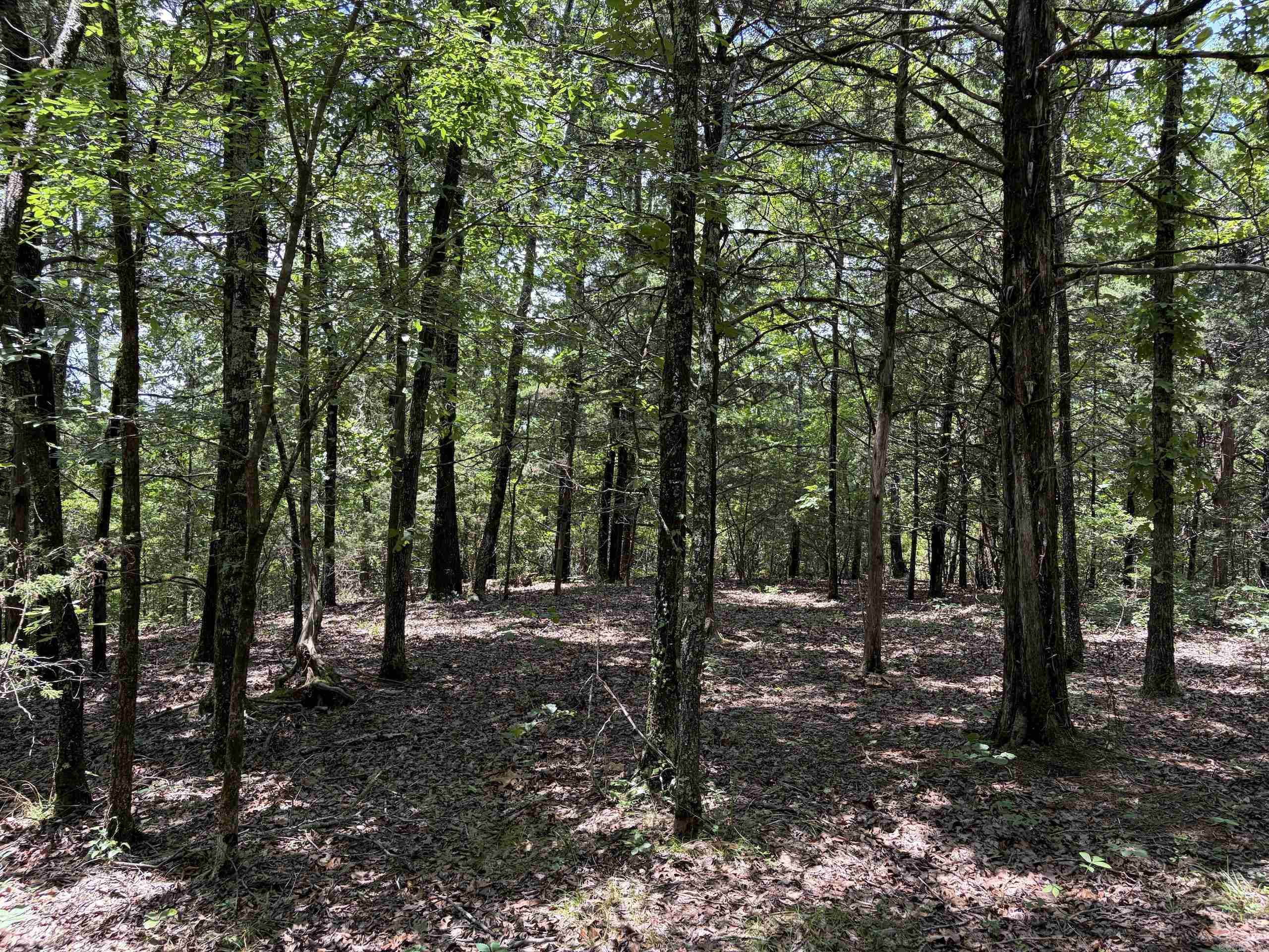 000 Merryman Road Property Photo 38