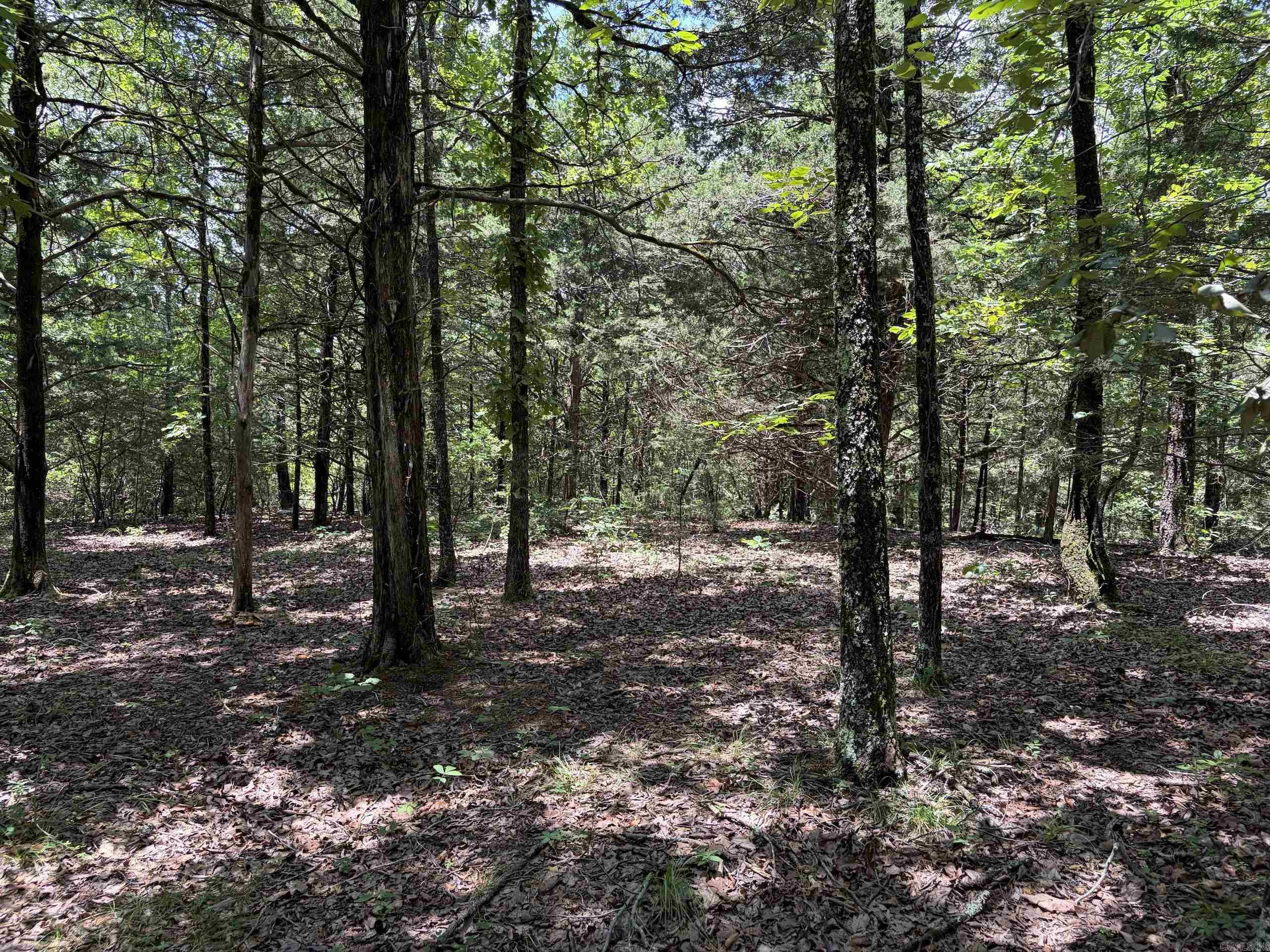 000 Merryman Road Property Photo 39