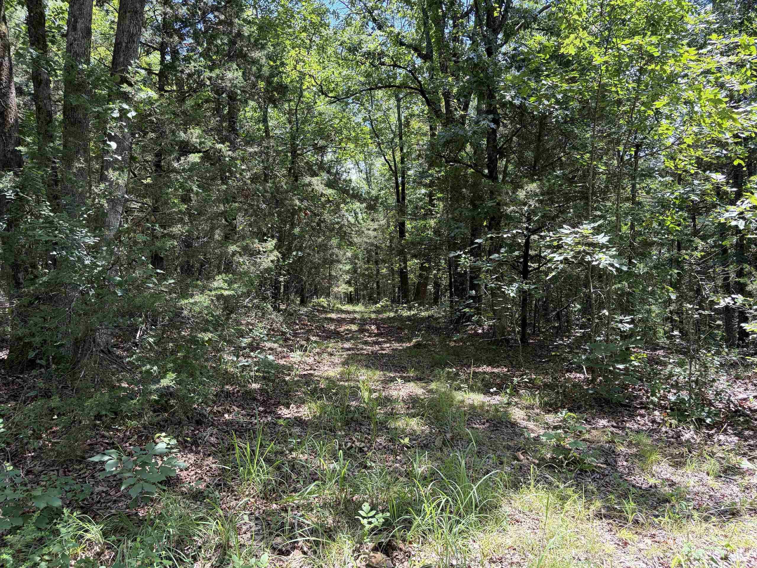 000 Merryman Road Property Photo 41