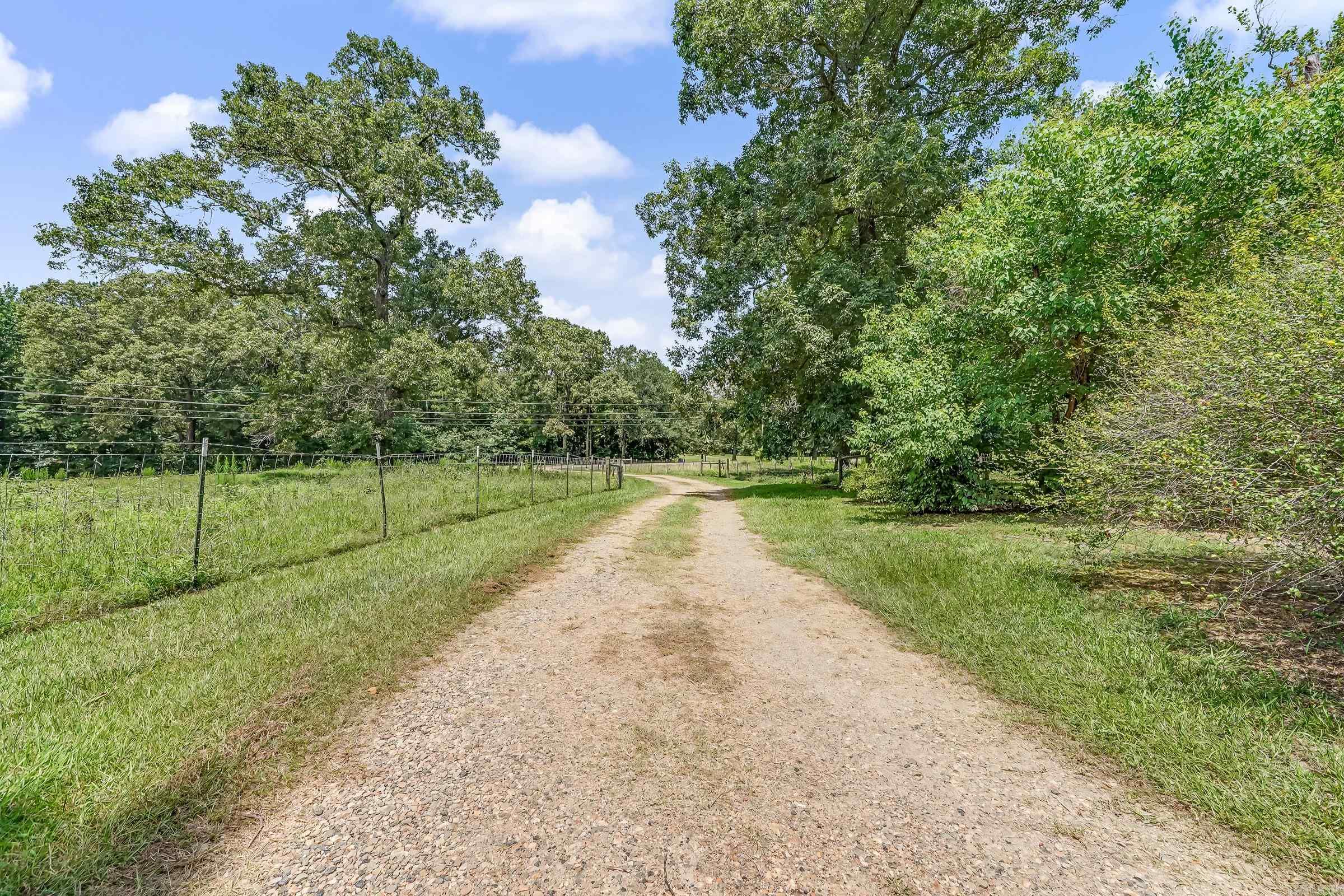 1297 Hwy 234 Property Photo 19