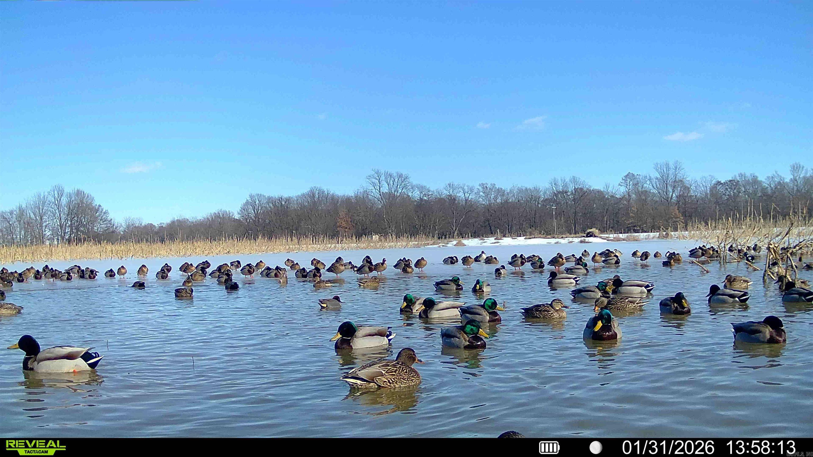 2300 Crooked Creek Road Property Photo 1