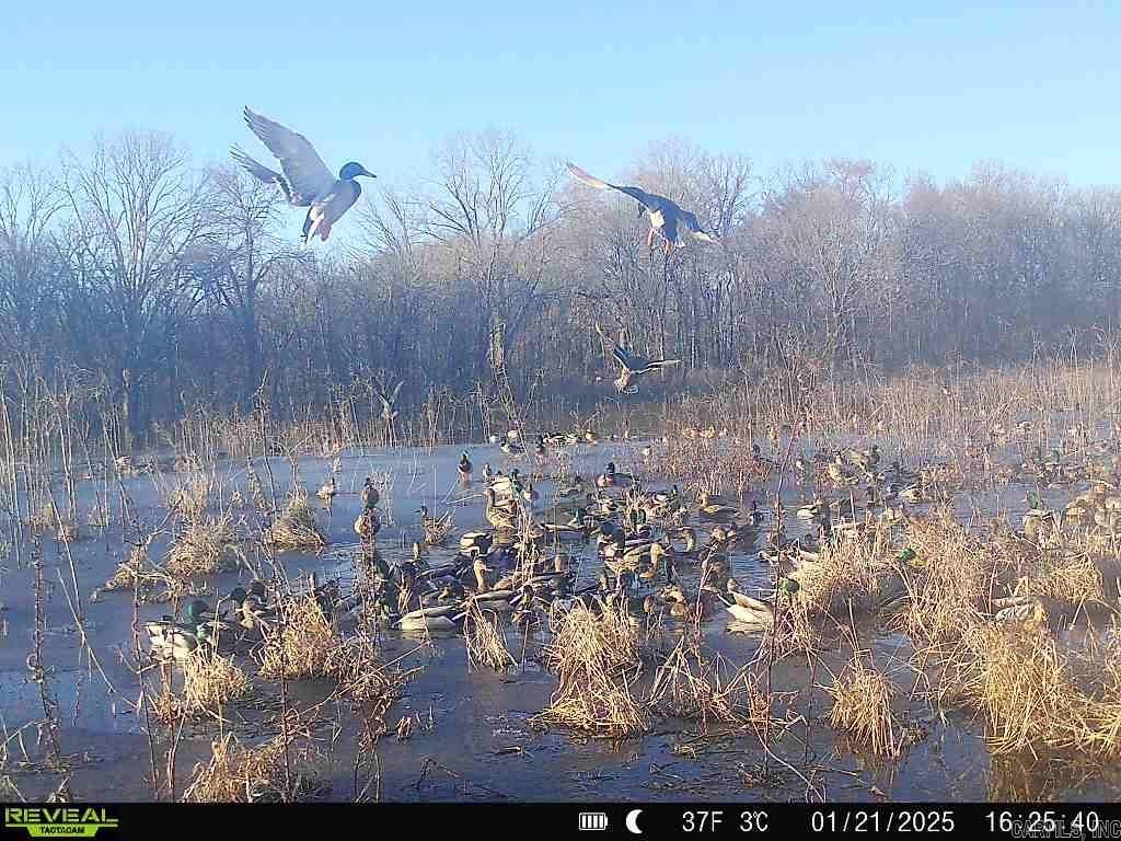 2300 Crooked Creek Road Property Photo 2