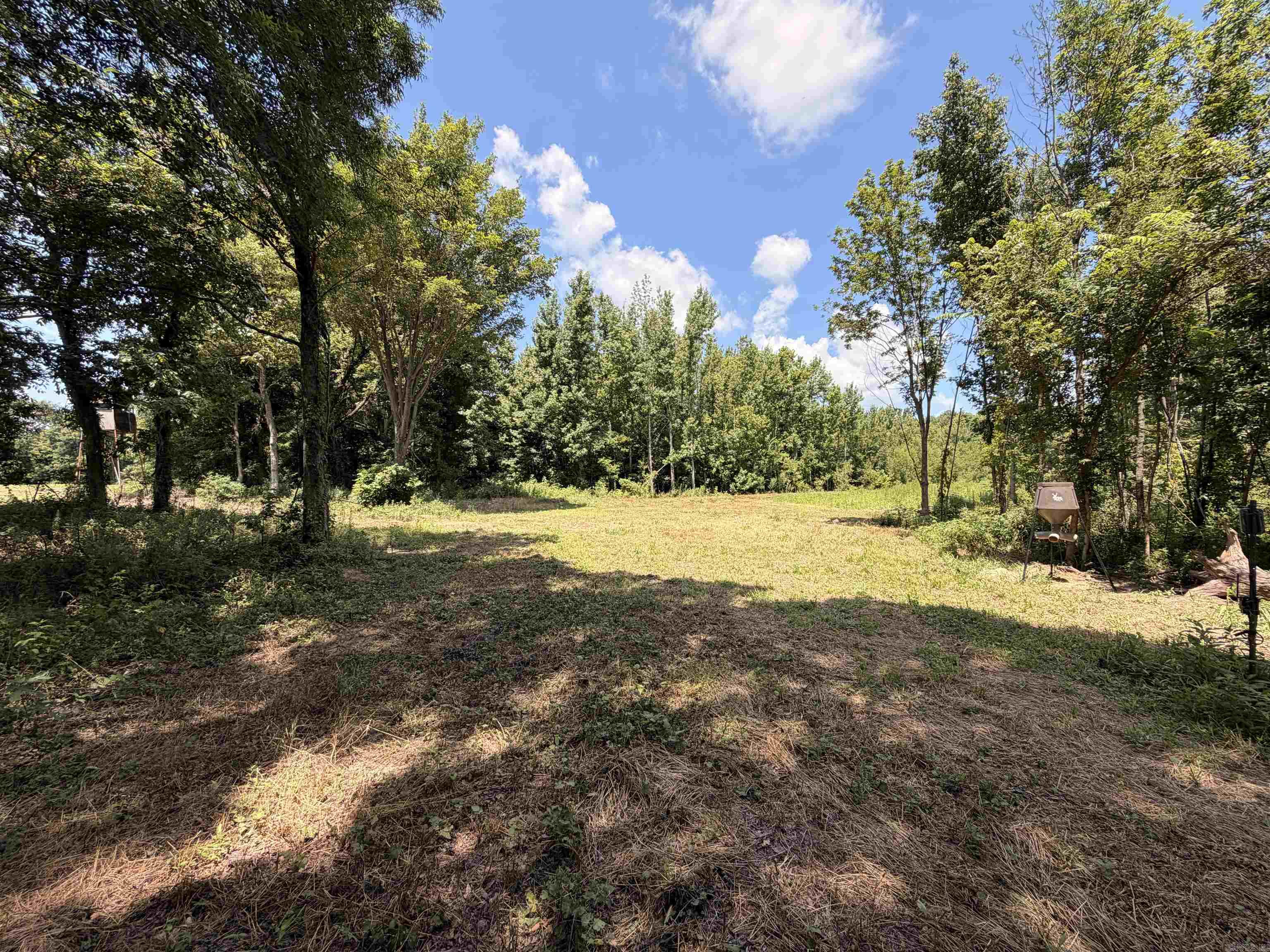 2300 Crooked Creek Road Property Photo 11