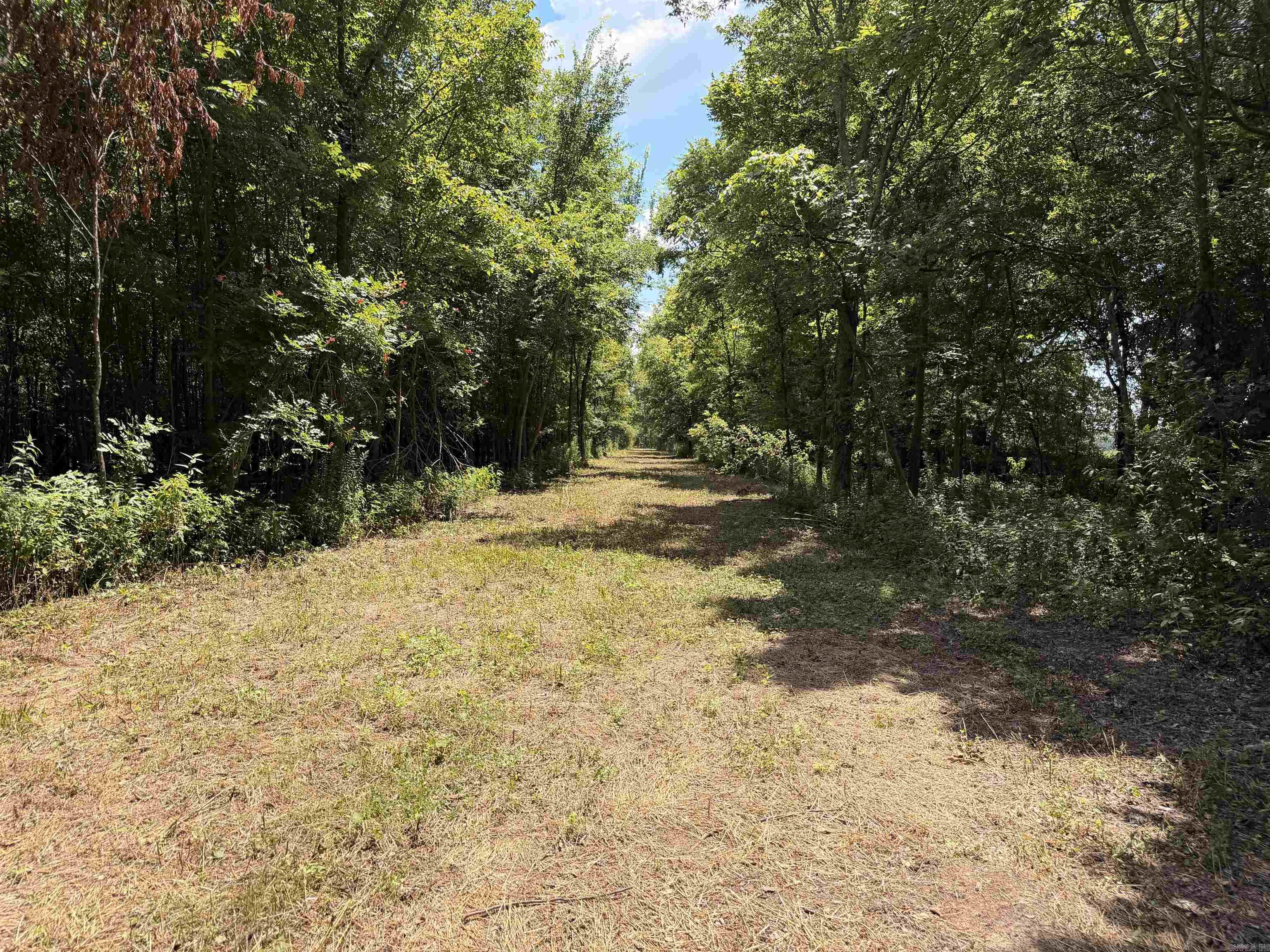 2300 Crooked Creek Road Property Photo 12
