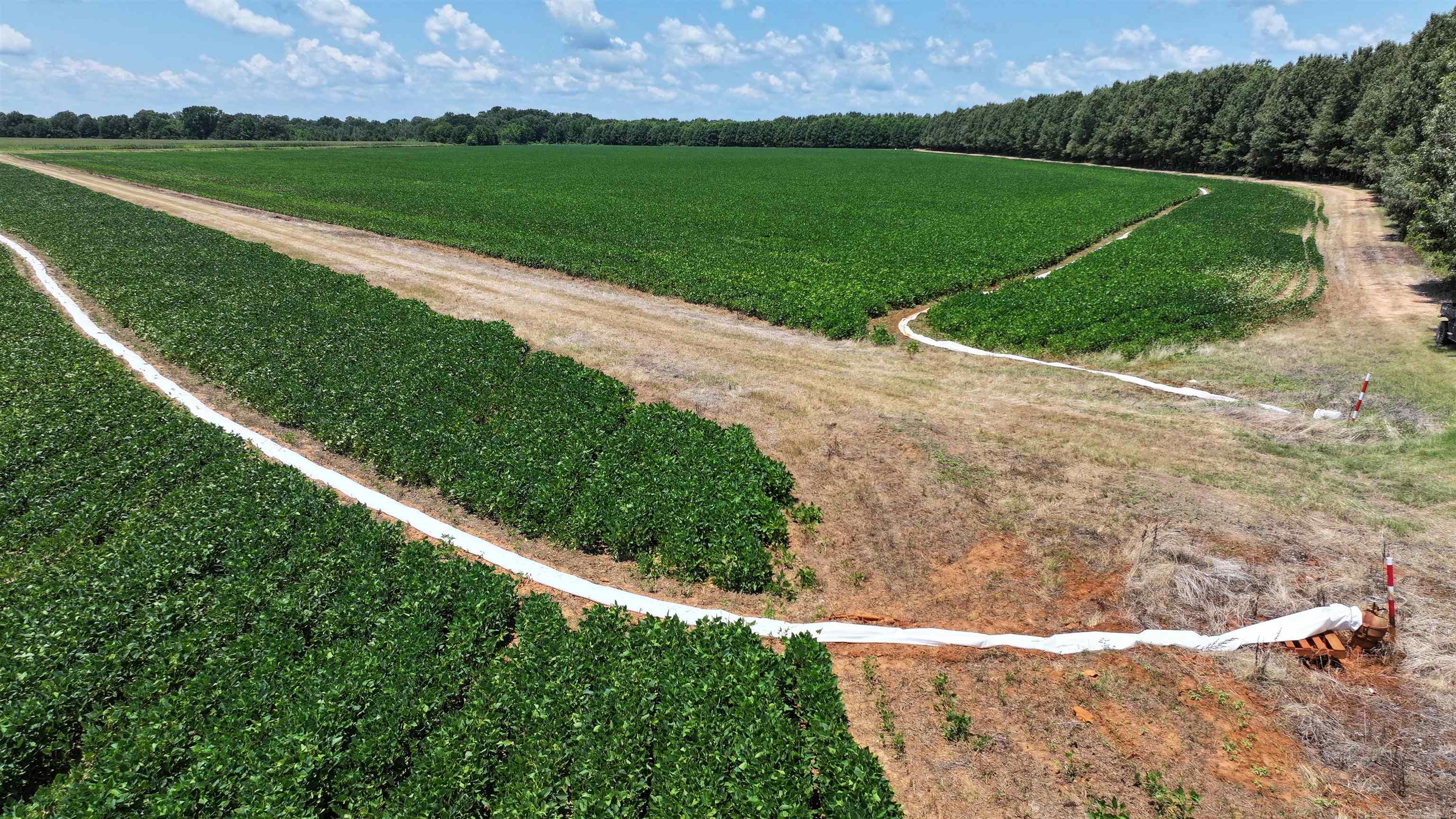 2300 Crooked Creek Road Property Photo 17