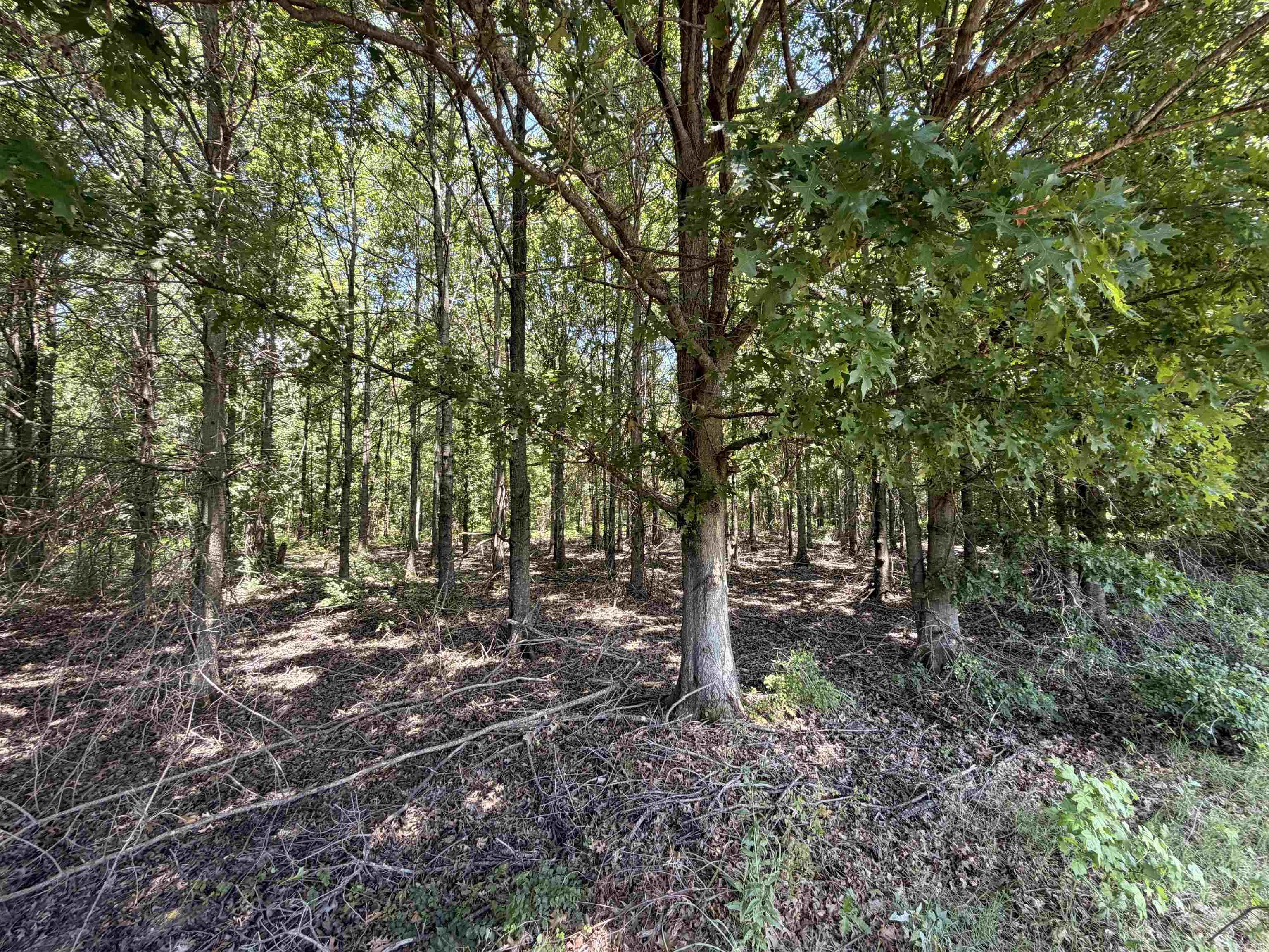 2300 Crooked Creek Road Property Photo 29