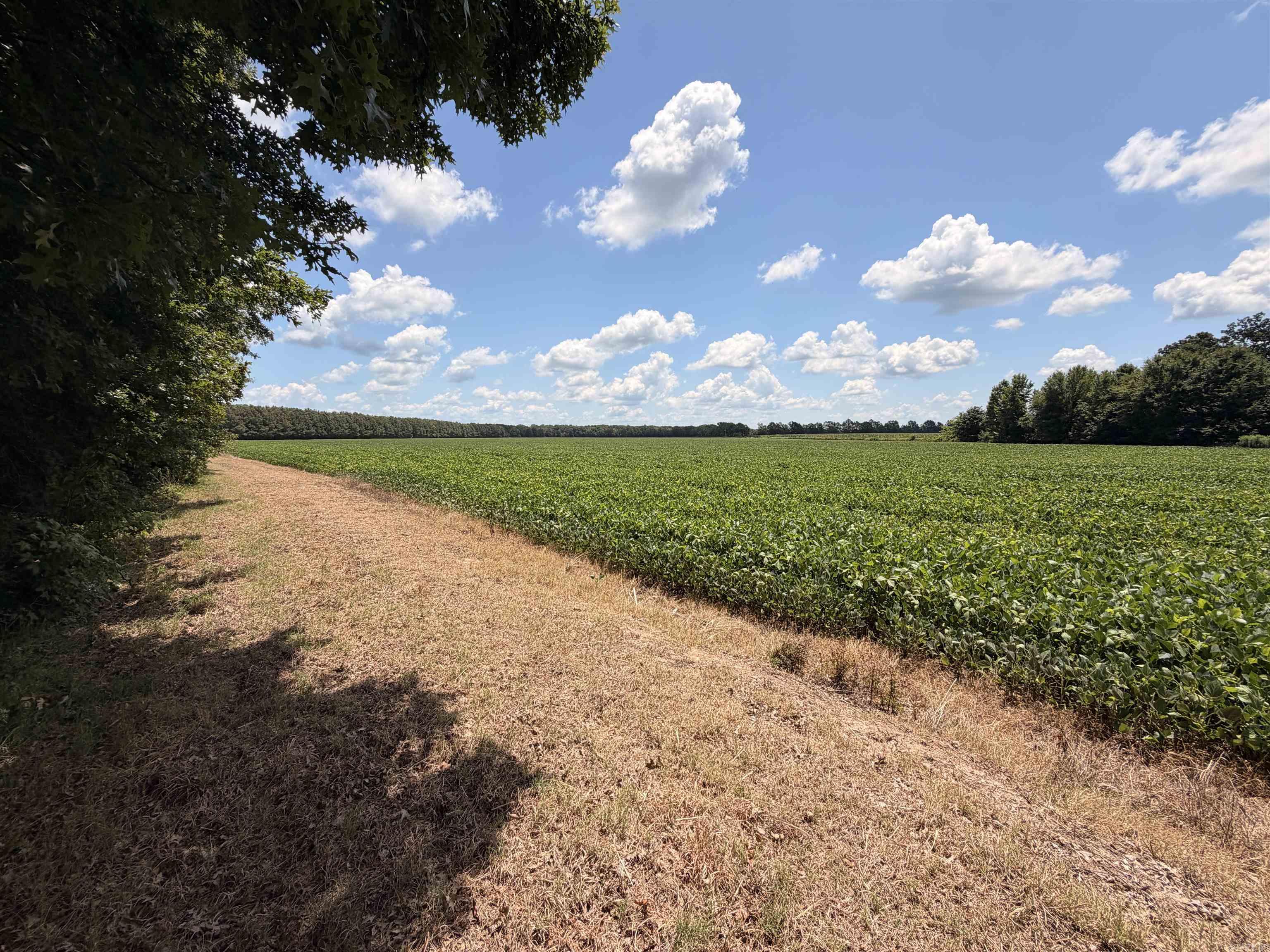 2300 Crooked Creek Road Property Photo 30