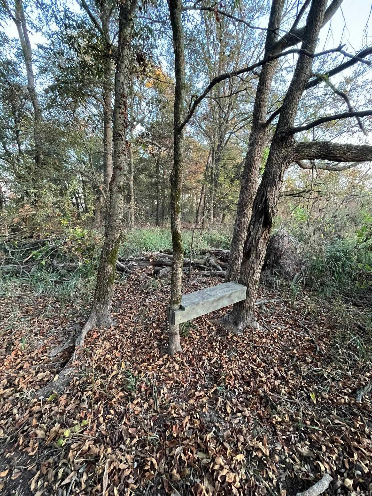 2300 Crooked Creek Road Property Photo 40