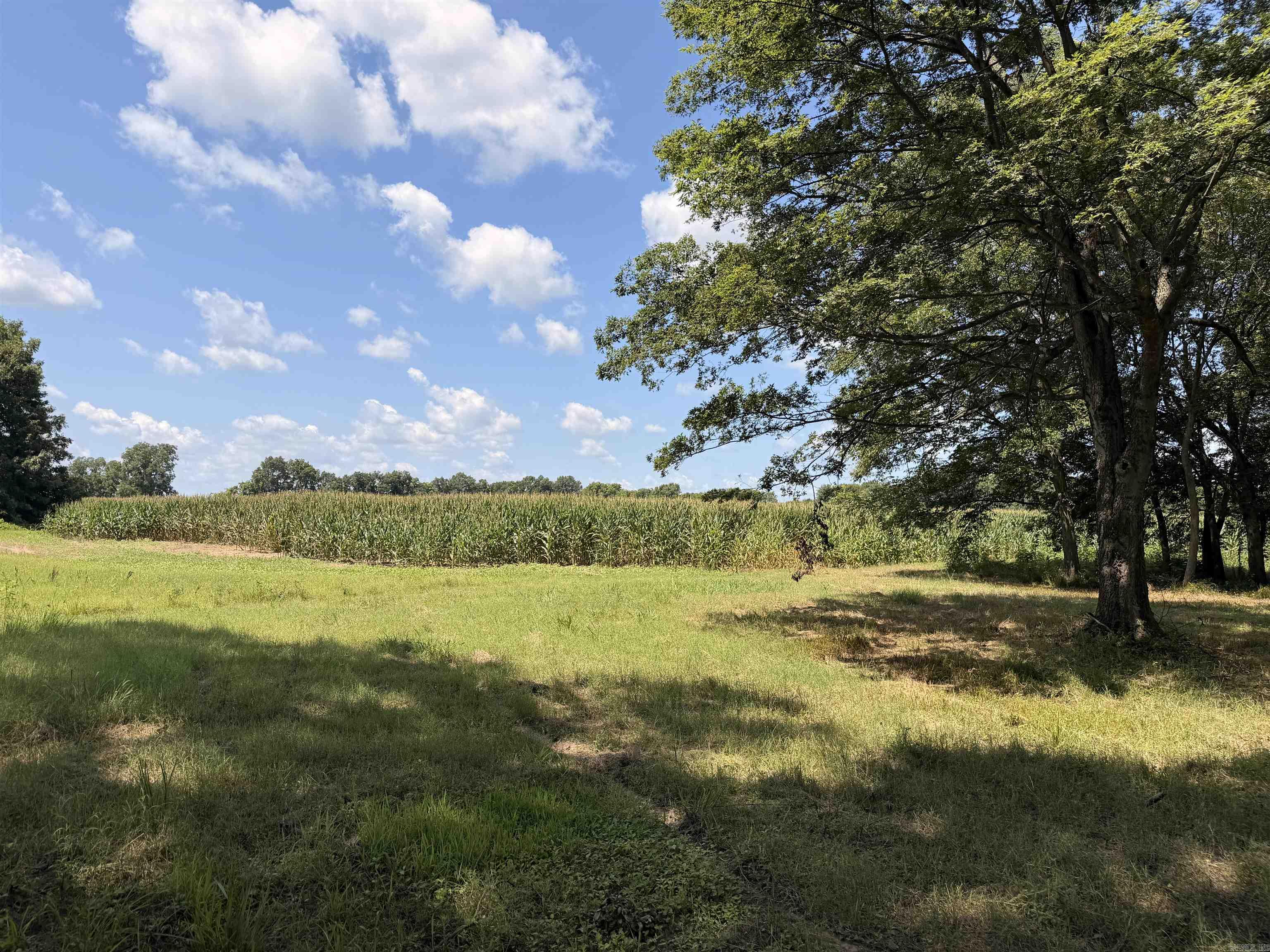 2300 Crooked Creek Road Property Photo 50