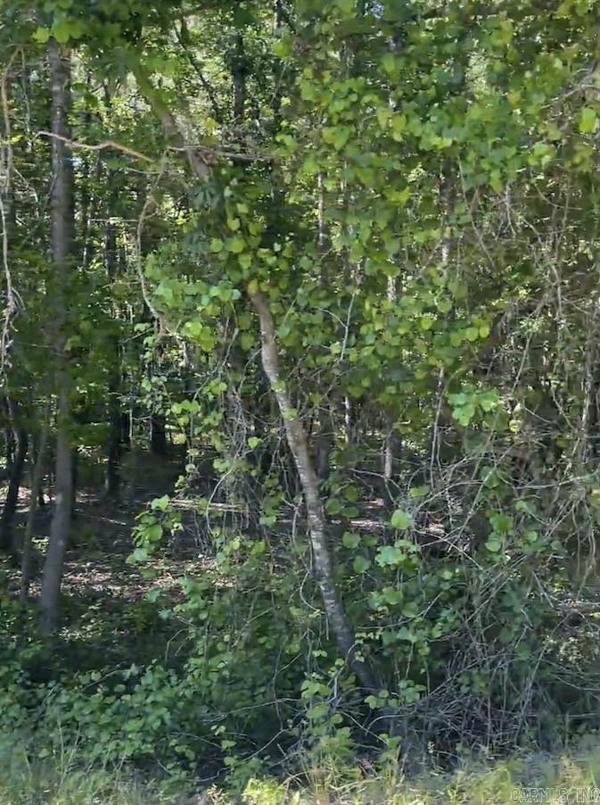 4410 Columbia Rd 36 Road Property Photo 10