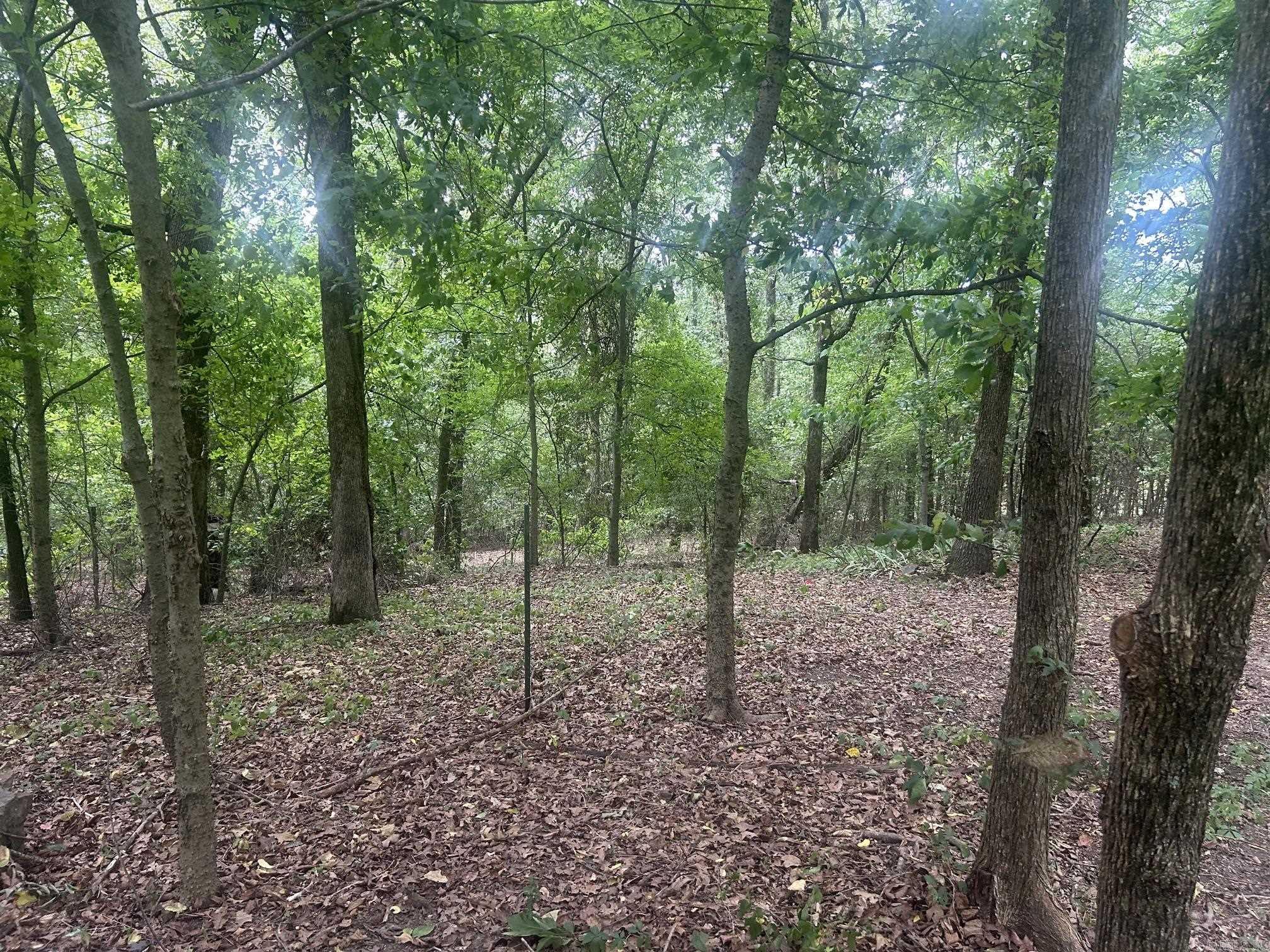 672 Highway 225 E Property Photo 15