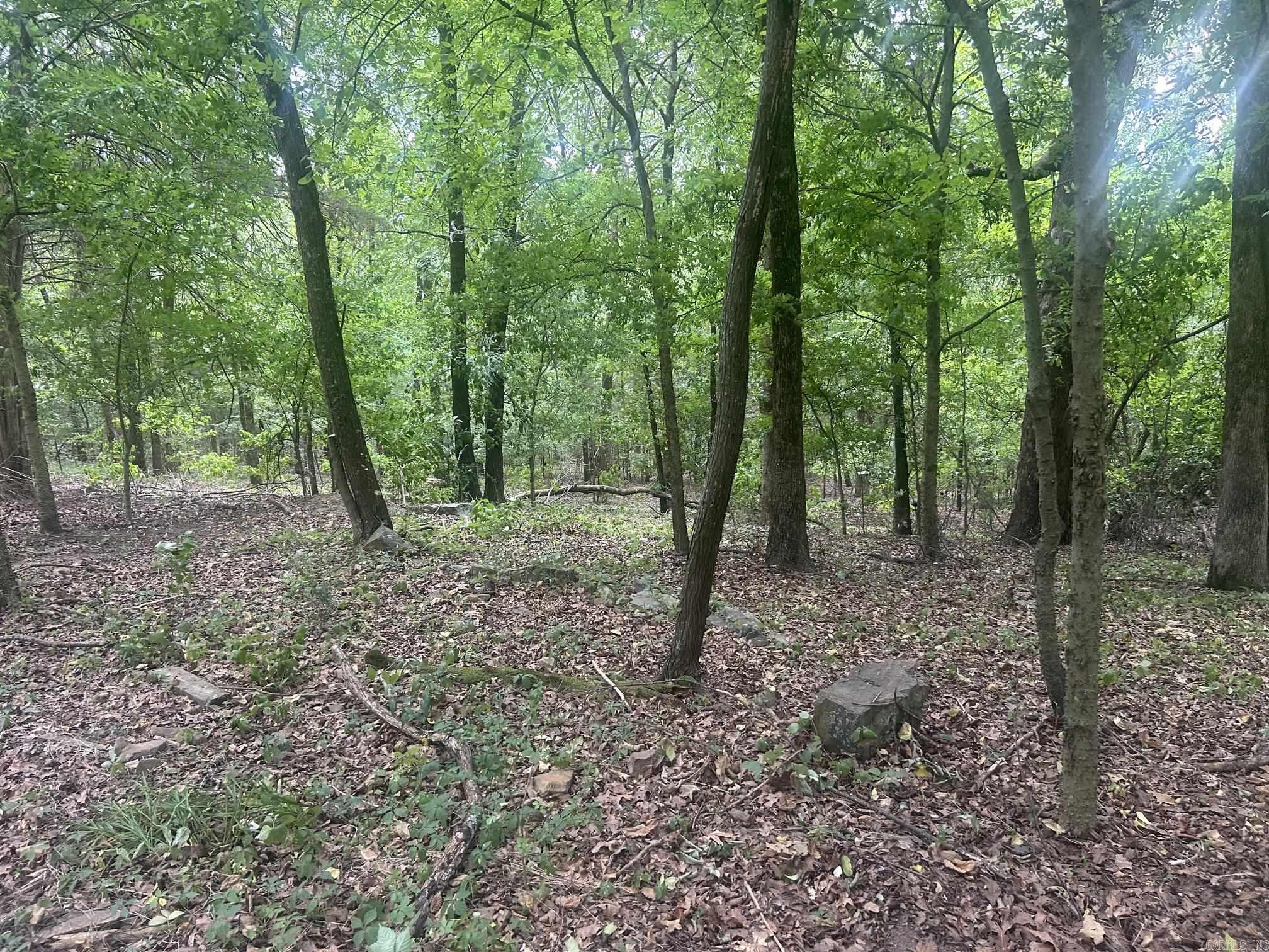 672 Highway 225 E Property Photo 17