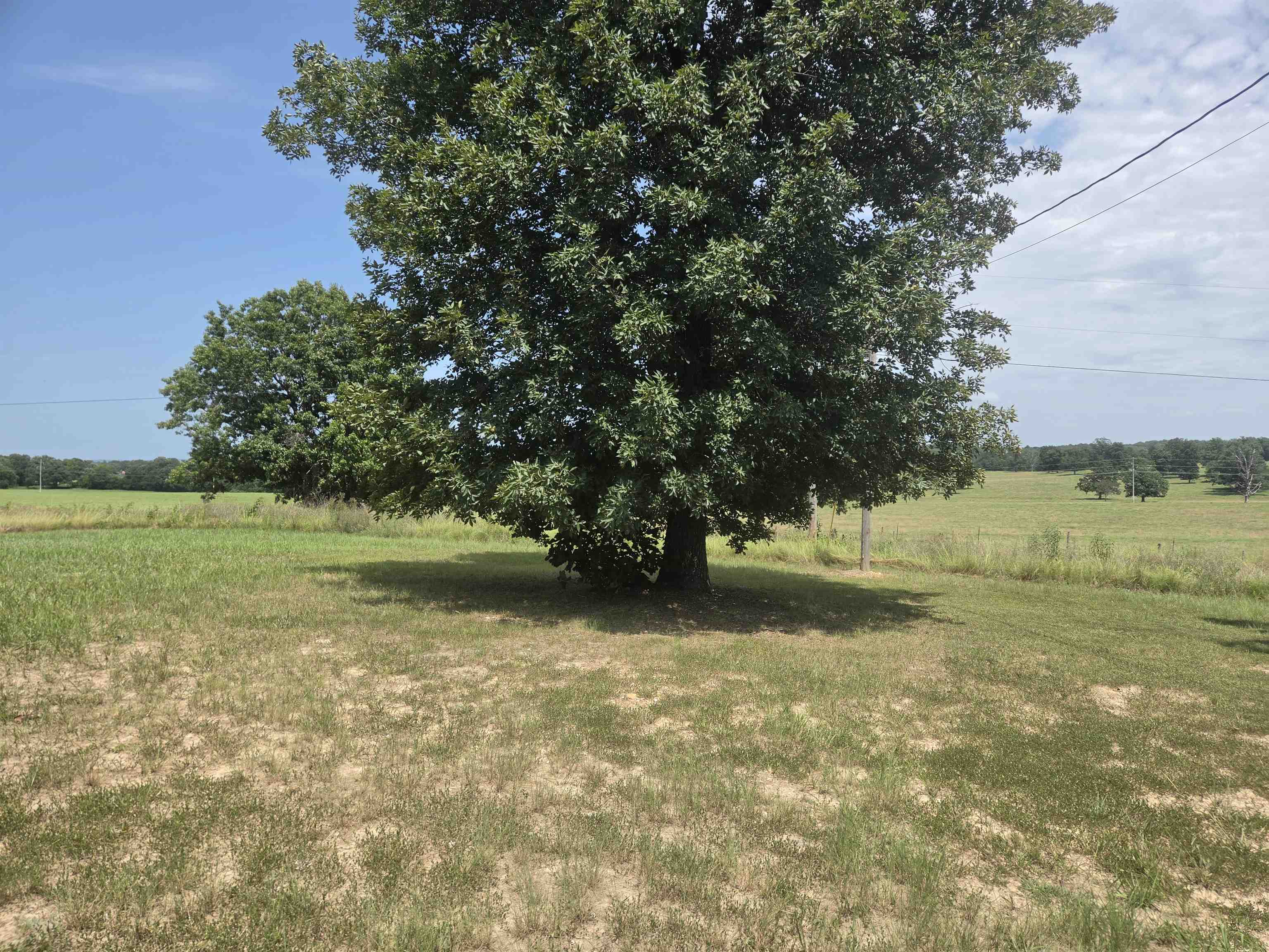 743 S 289 Highway Property Photo 14