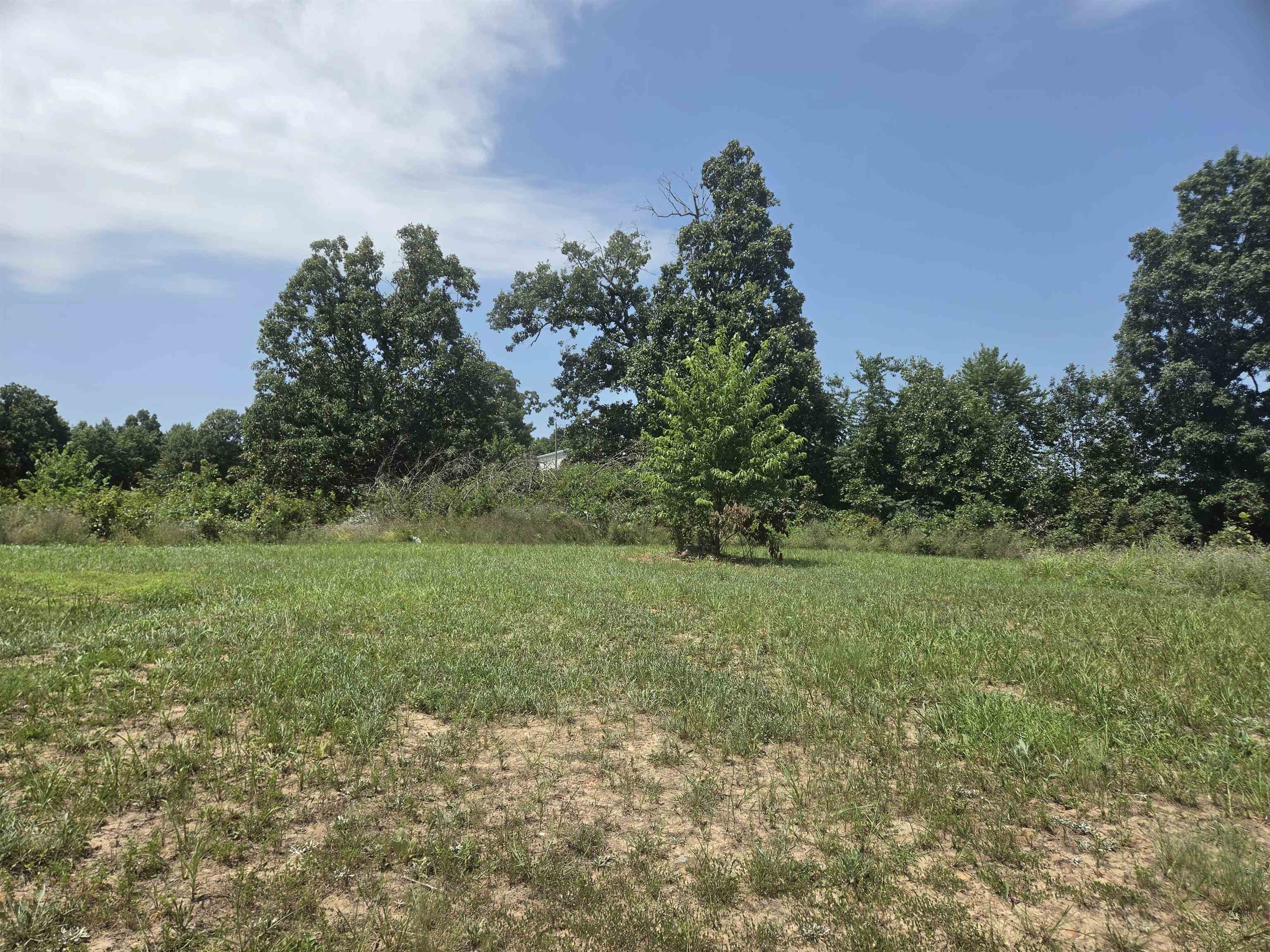 743 S 289 Highway Property Photo 17