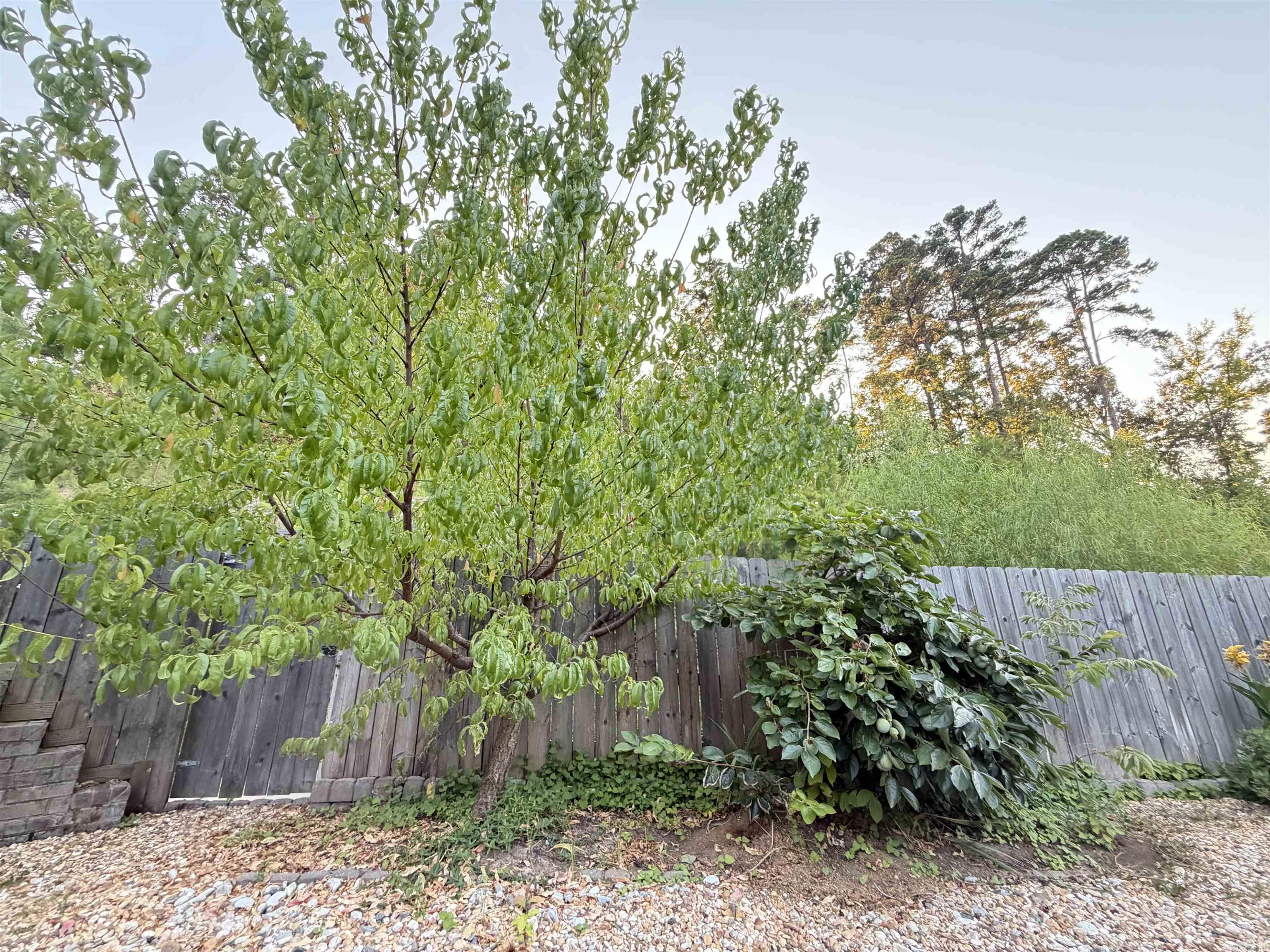 4 Piper Ln Property Photo 33