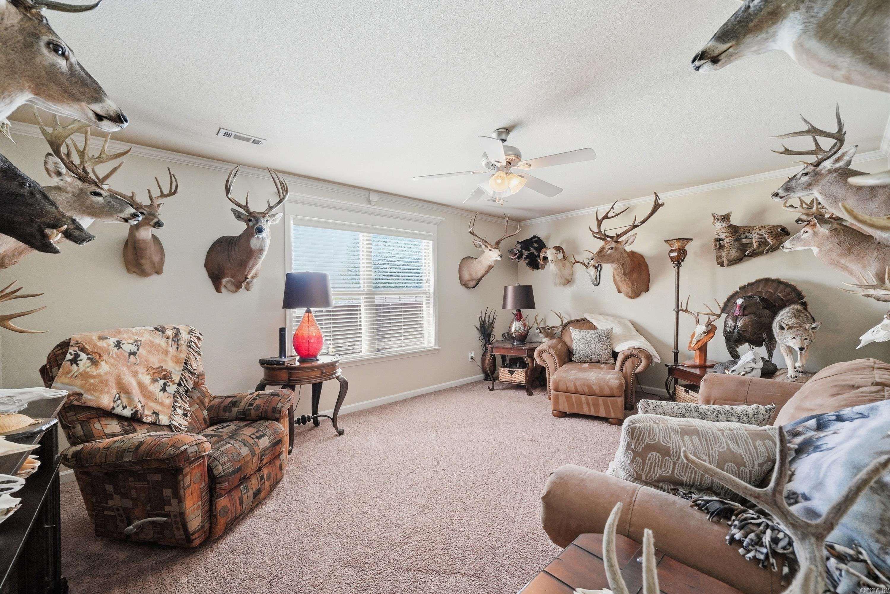 13113 Secretariat Drive Property Photo 22