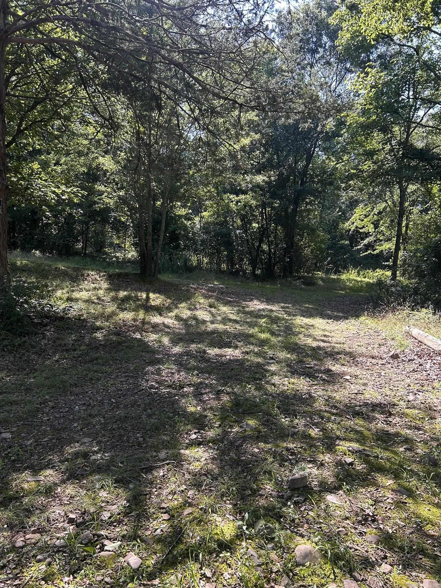 Unk Polk Road 164 Property Photo 3