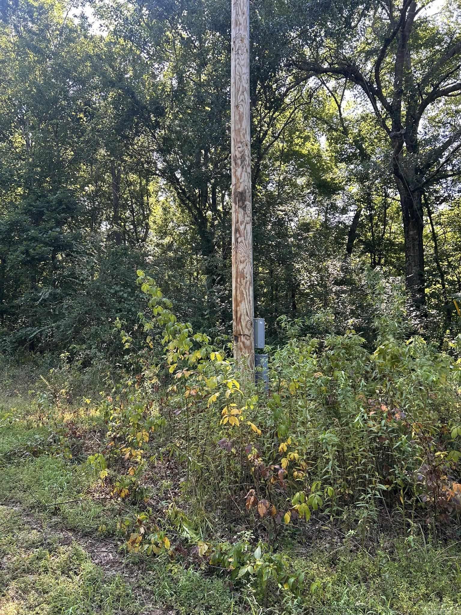Unk Polk Road 164 Property Photo 5
