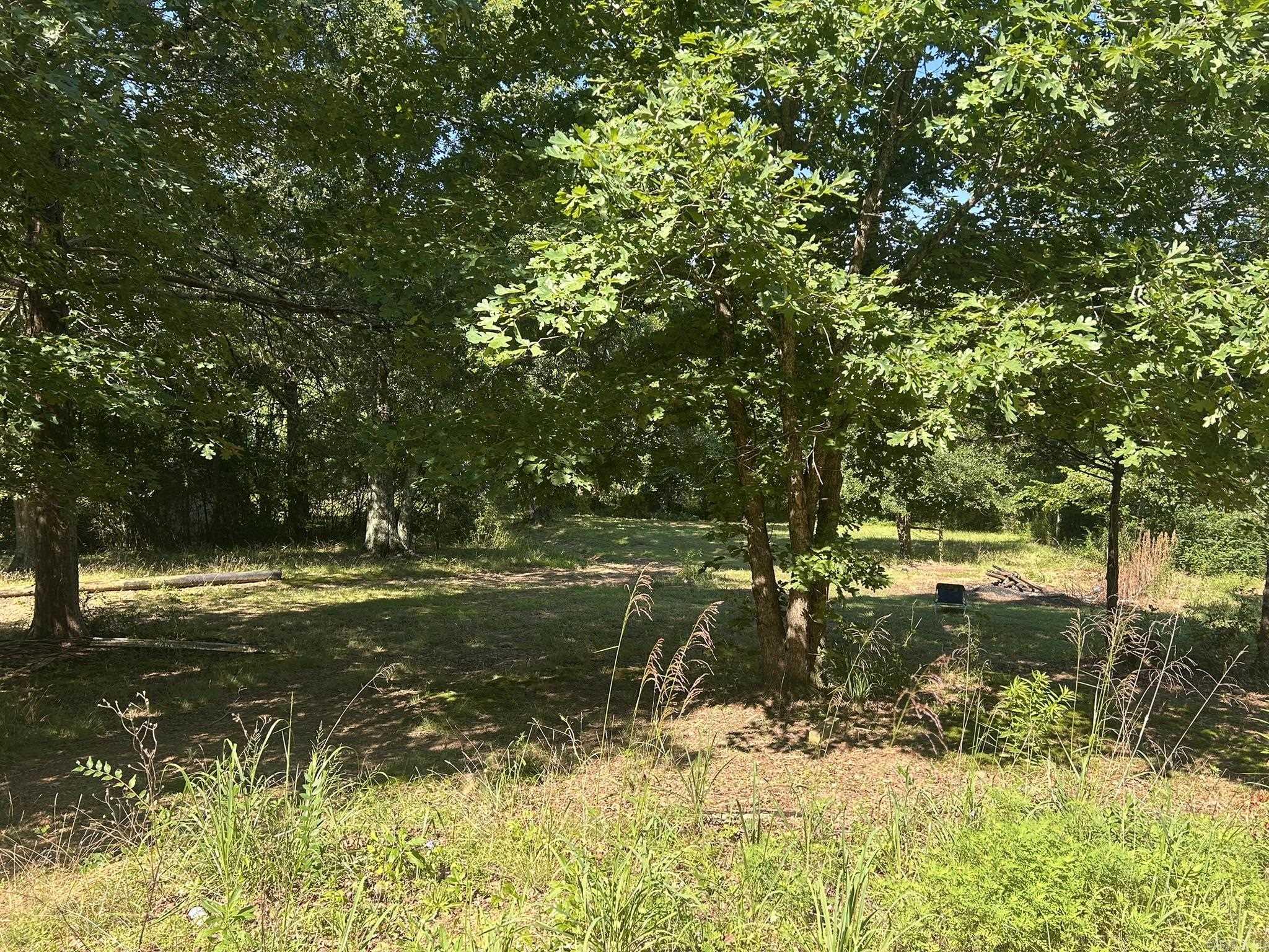 Unk Polk Road 164 Property Photo 13