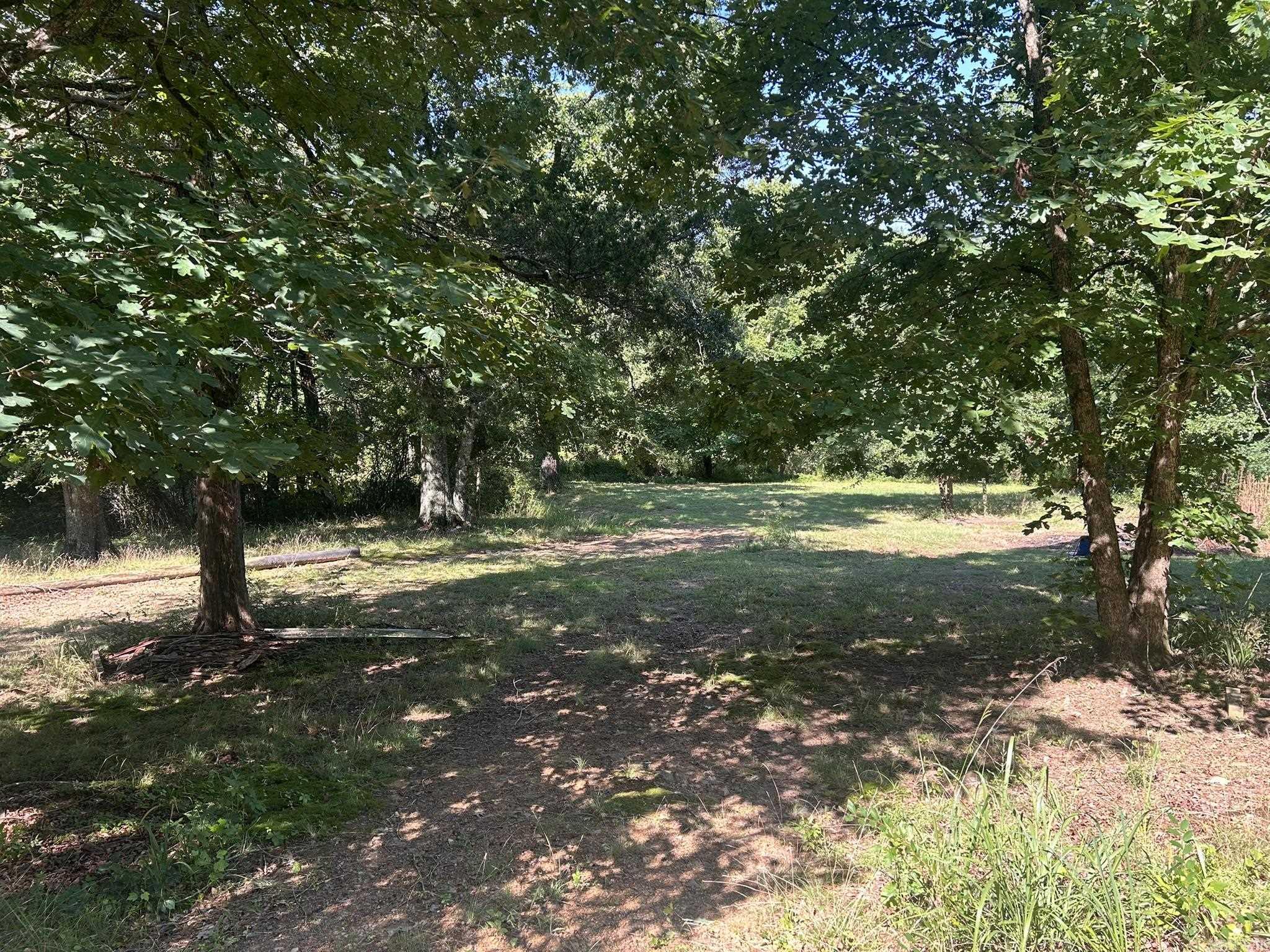 Unk Polk Road 164 Property Photo 14