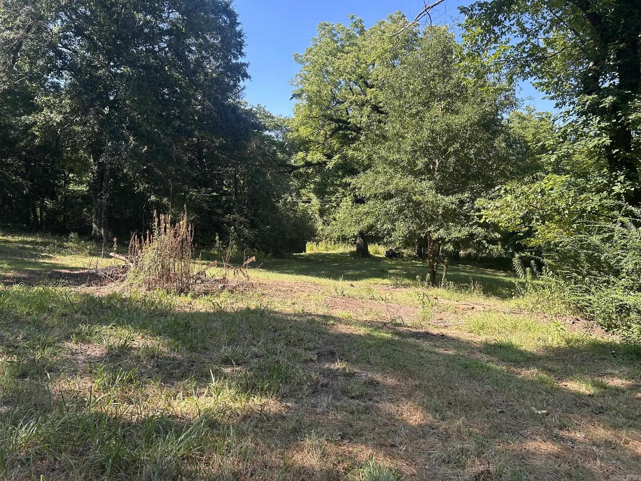Unk Polk Road 164 Property Photo 15