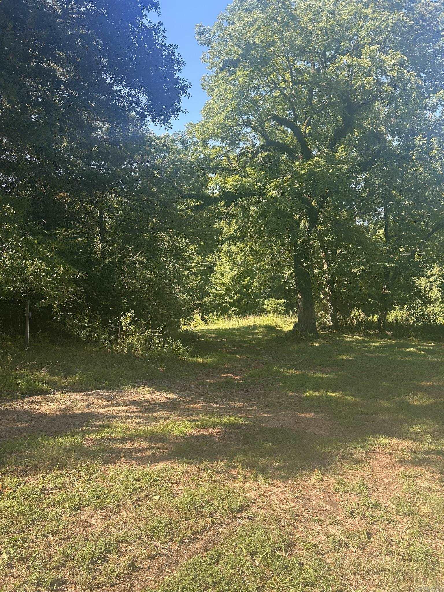 Unk Polk Road 164 Property Photo 16