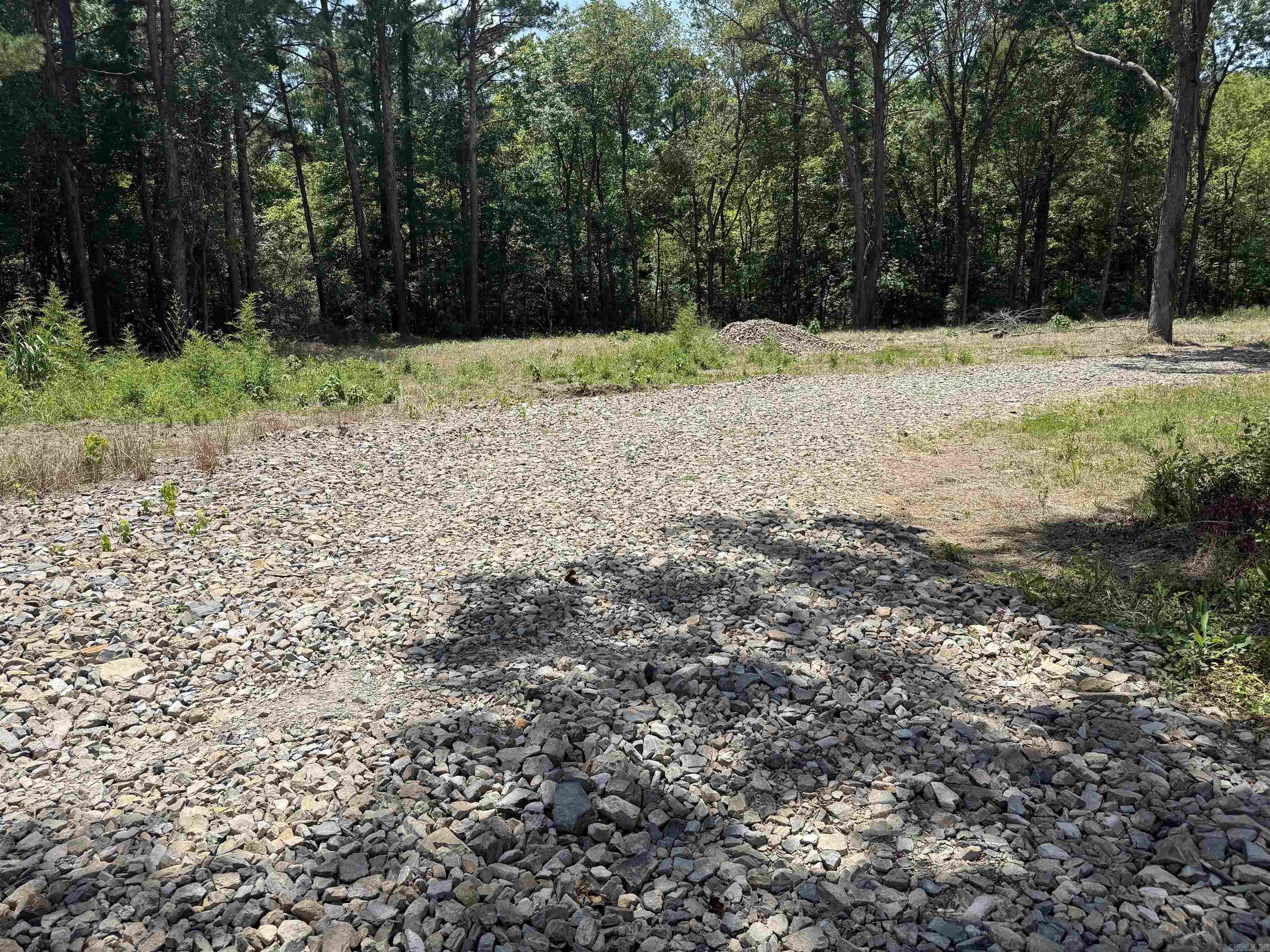 00 Mountain Pine Property Photo 2