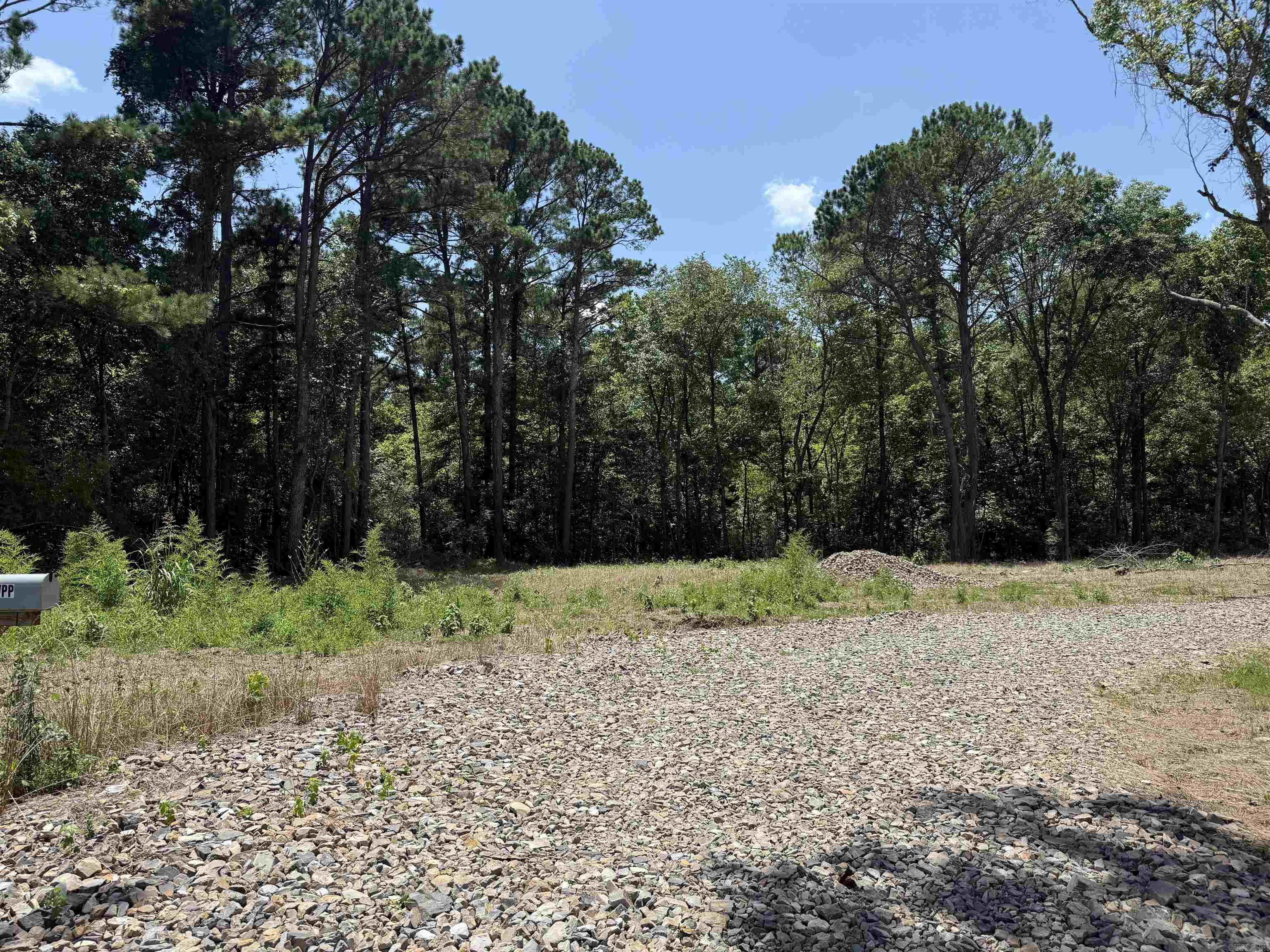 00 Mountain Pine Property Photo 4