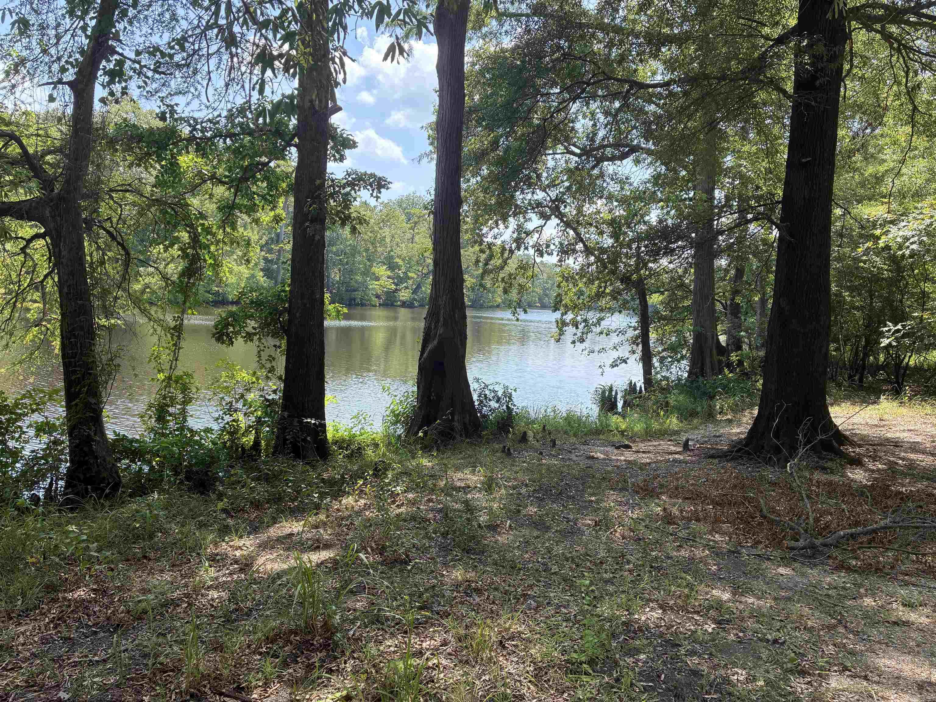 Calhoun 303 Property Photo 2