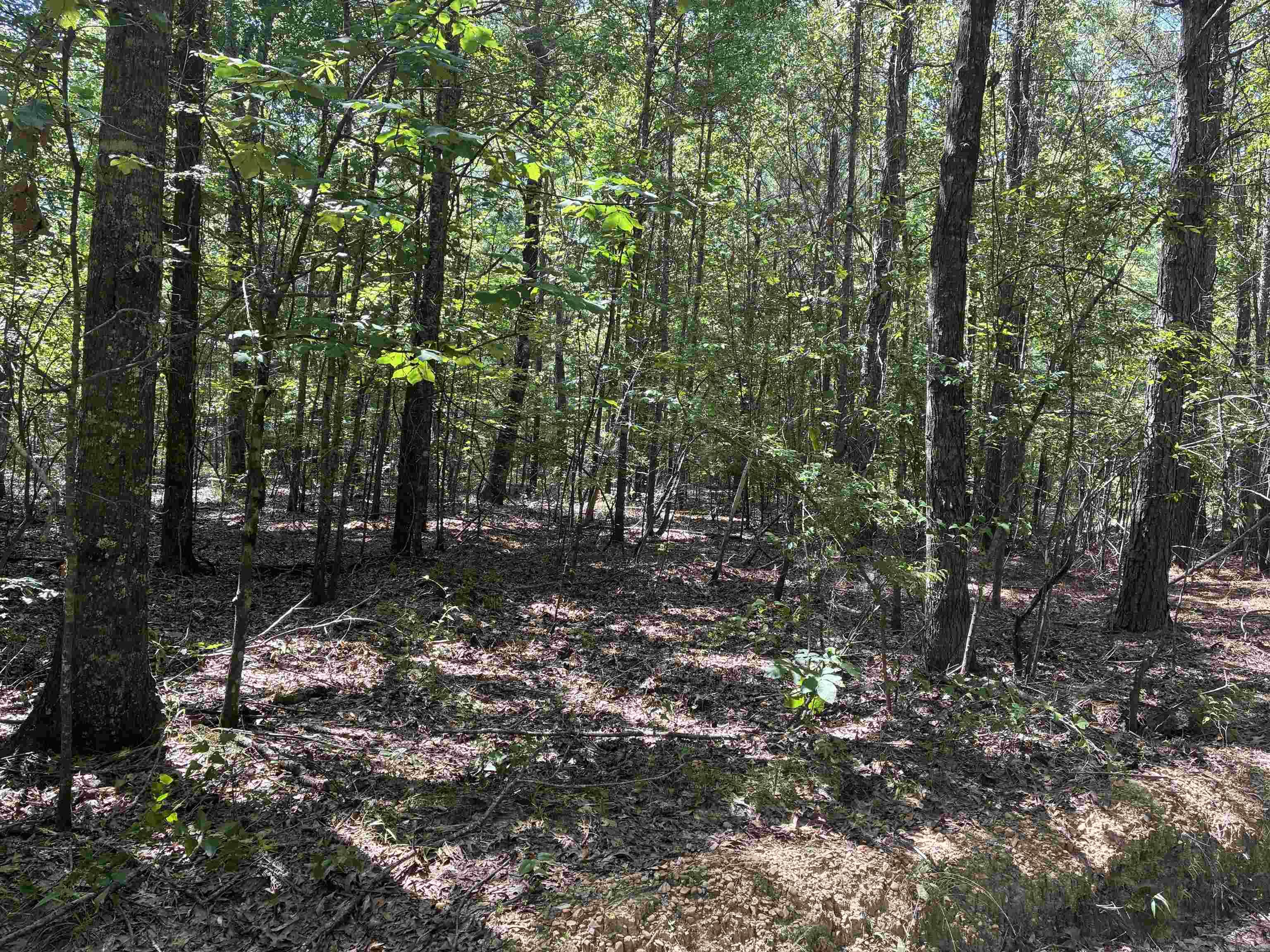 Calhoun 303 Property Photo 3