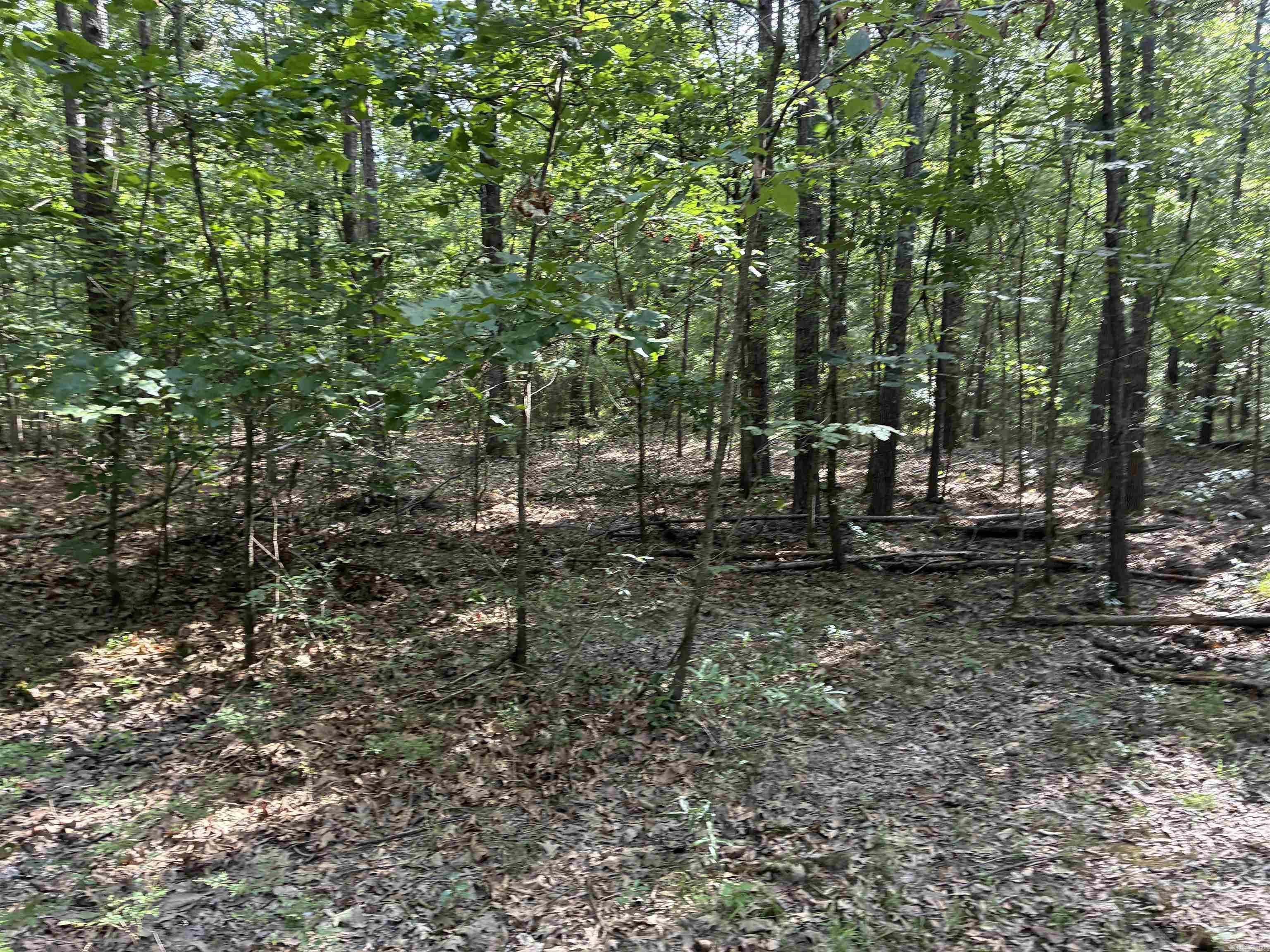 Calhoun 303 Property Photo 4