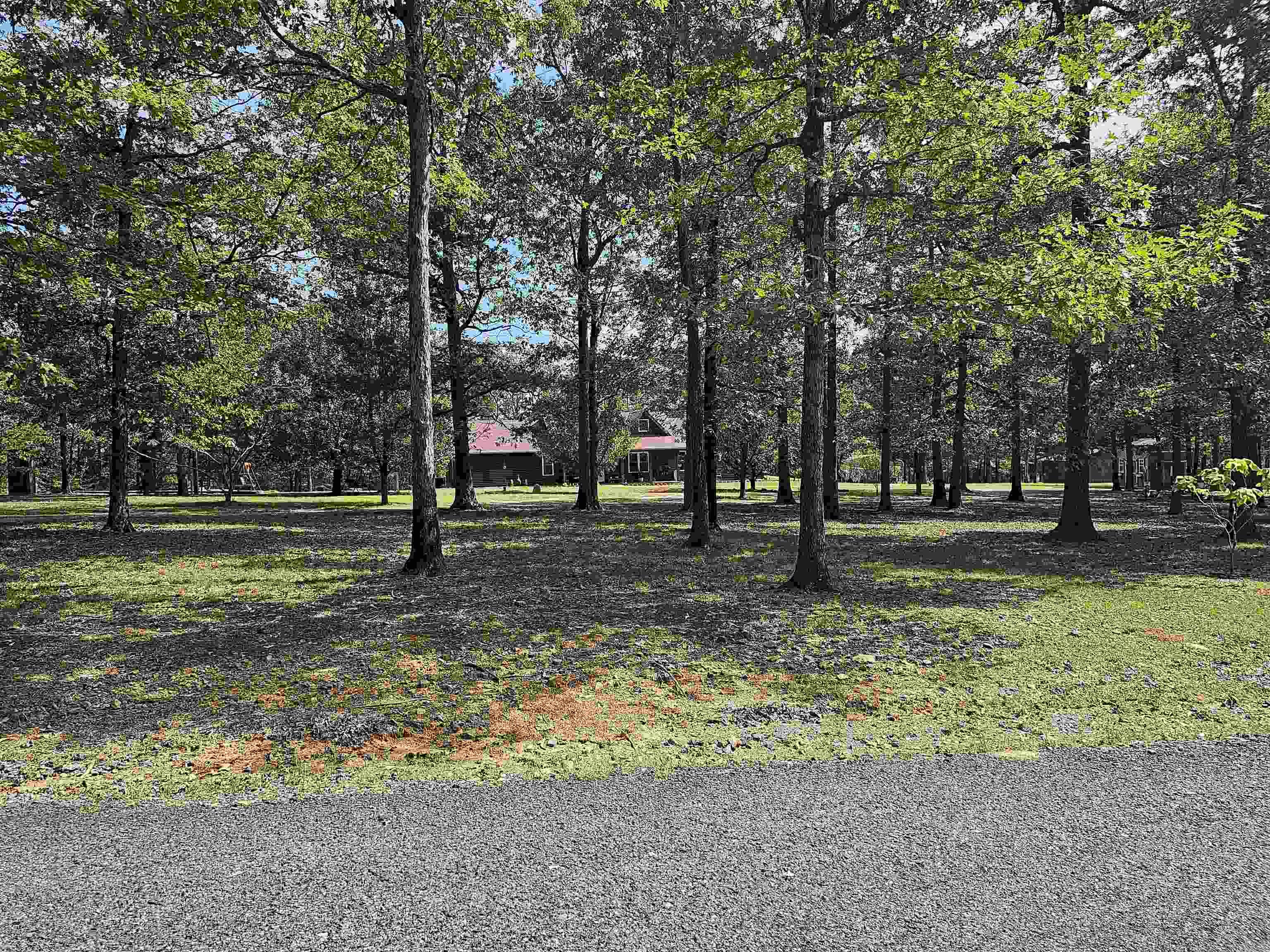 162 Dogwood Springs Ln Property Photo 3